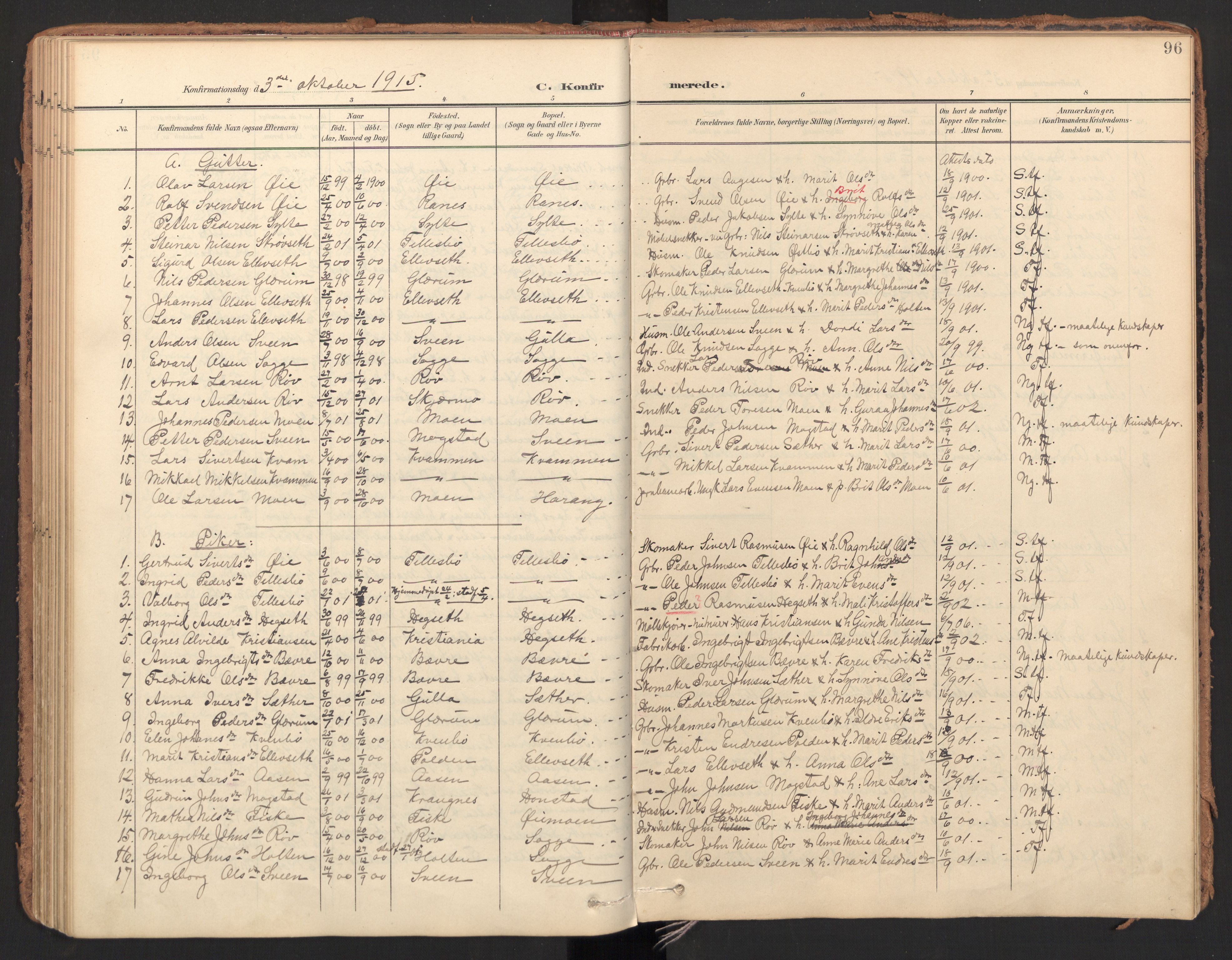 Ministerialprotokoller, klokkerbøker og fødselsregistre - Møre og Romsdal, AV/SAT-A-1454/596/L1057: Parish register (official) no. 596A02, 1900-1917, p. 96