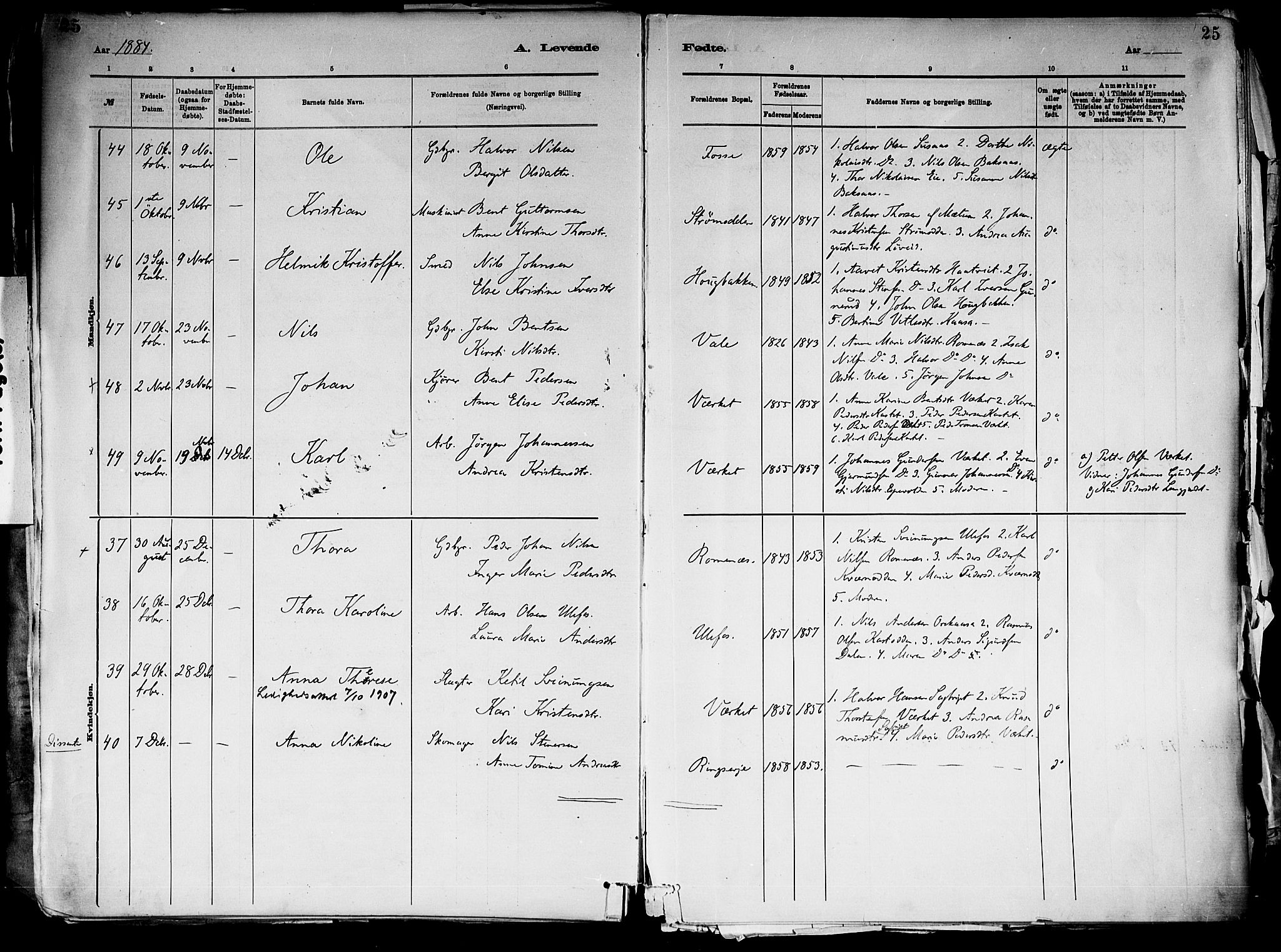 Holla kirkebøker, SAKO/A-272/F/Fa/L0008: Parish register (official) no. 8, 1882-1897, p. 25