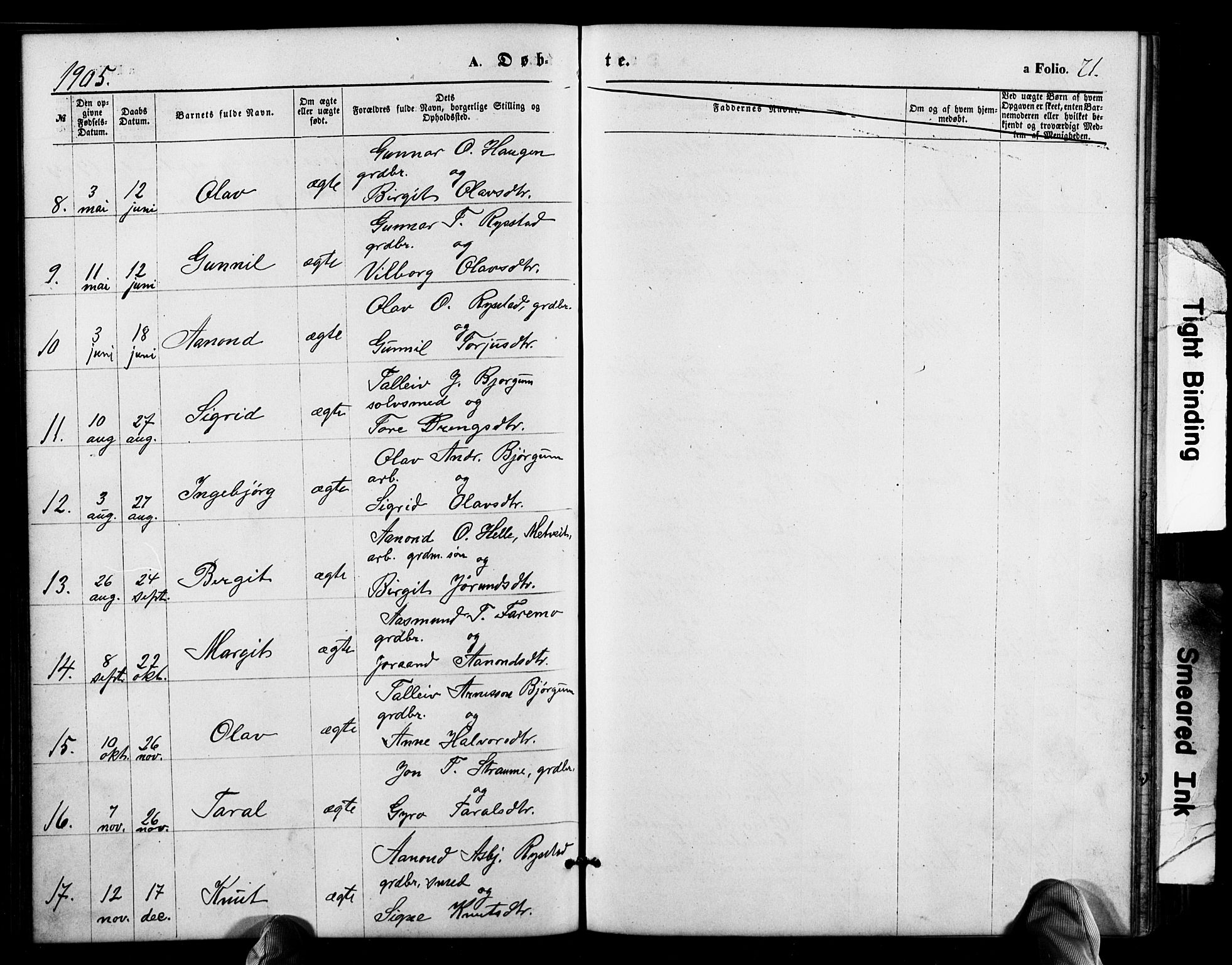 Valle sokneprestkontor, SAK/1111-0044/F/Fb/Fbb/L0002: Parish register (copy) no. B 2, 1875-1921, p. 71