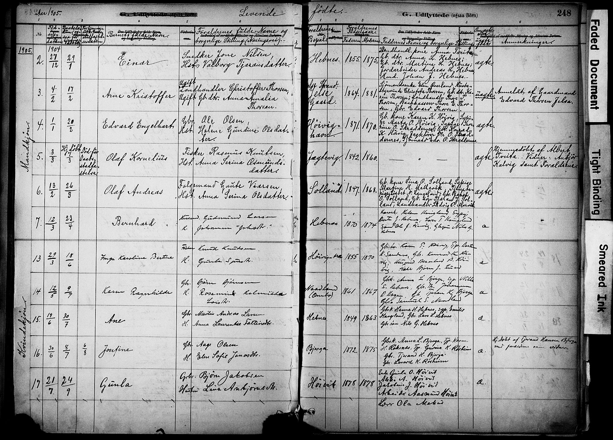Jelsa sokneprestkontor, SAST/A-101842/01/IV: Parish register (official) no. A 10, 1884-1906, p. 248