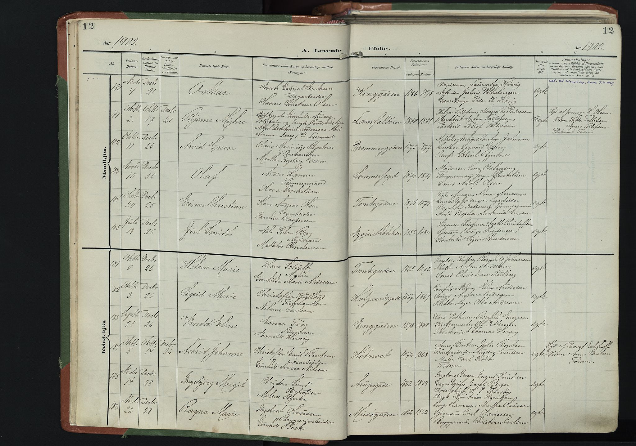 Bragernes kirkebøker, AV/SAKO-A-6/F/Fb/L0009: Parish register (official) no. II 9, 1902-1911, p. 12