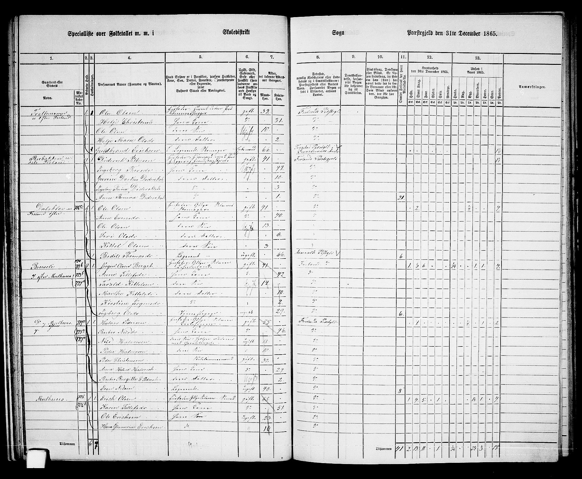 RA, 1865 census for Froland, 1865, p. 33