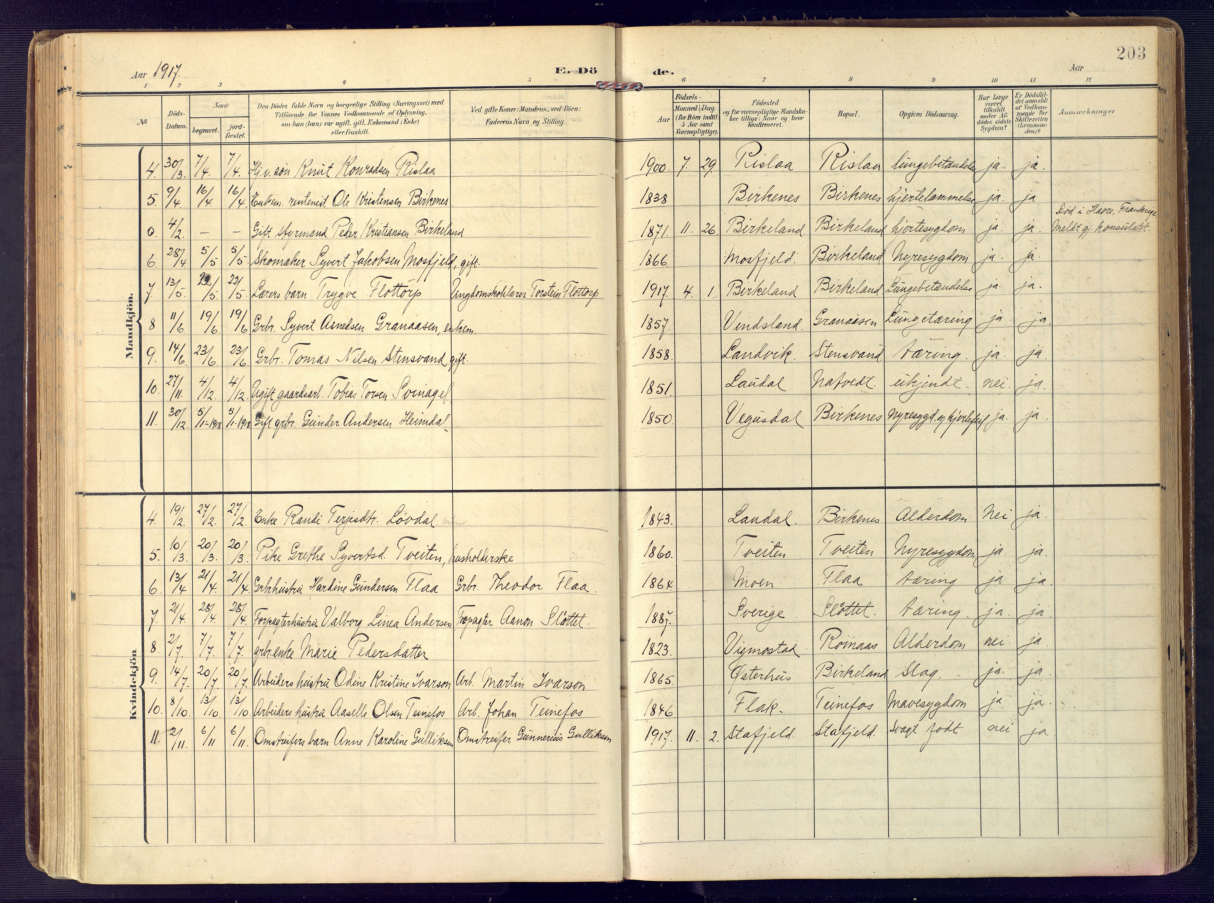 Birkenes sokneprestkontor, SAK/1111-0004/F/Fa/L0006: Parish register (official) no. A 6, 1908-1932, p. 203