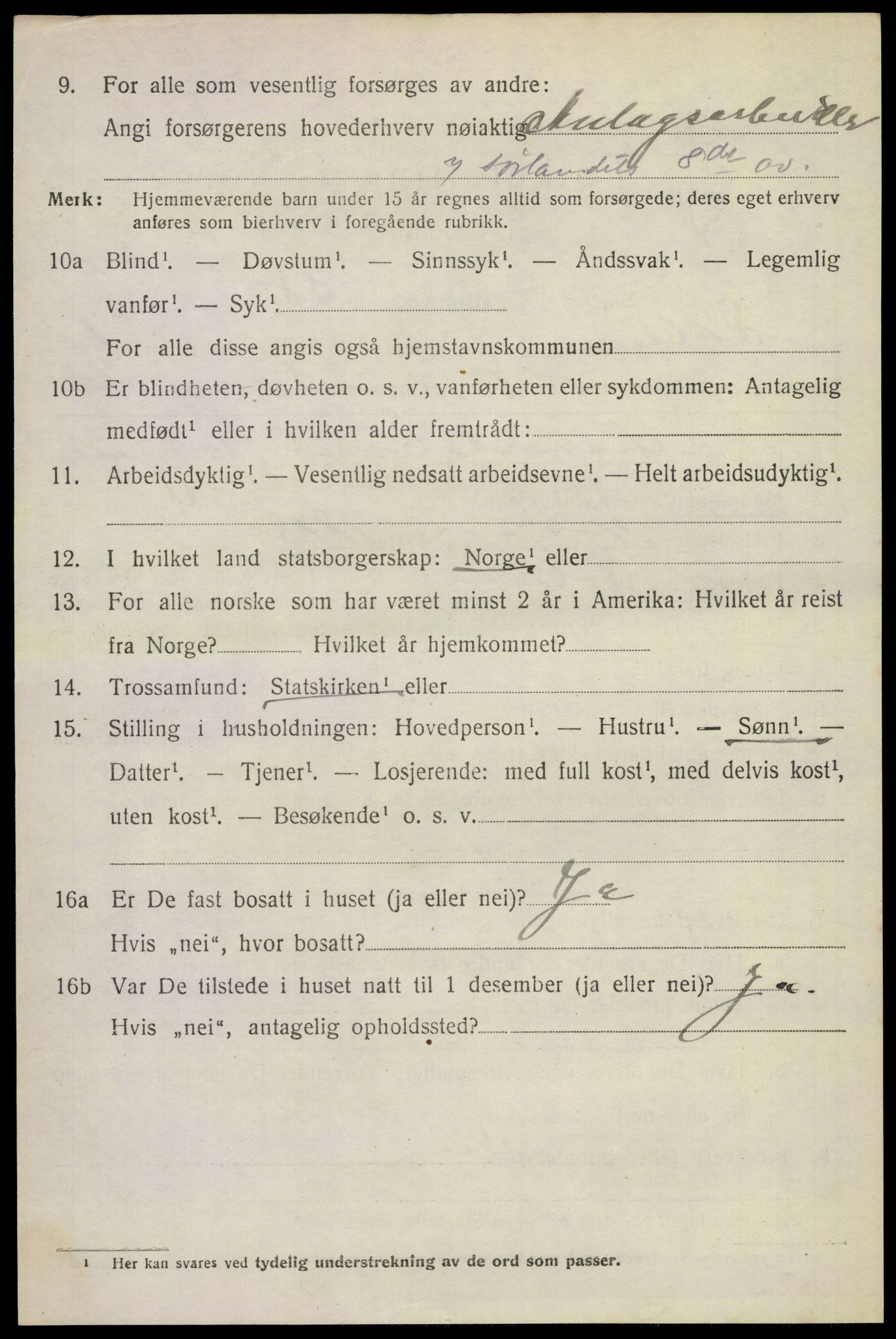 SAKO, 1920 census for Solum, 1920, p. 4205
