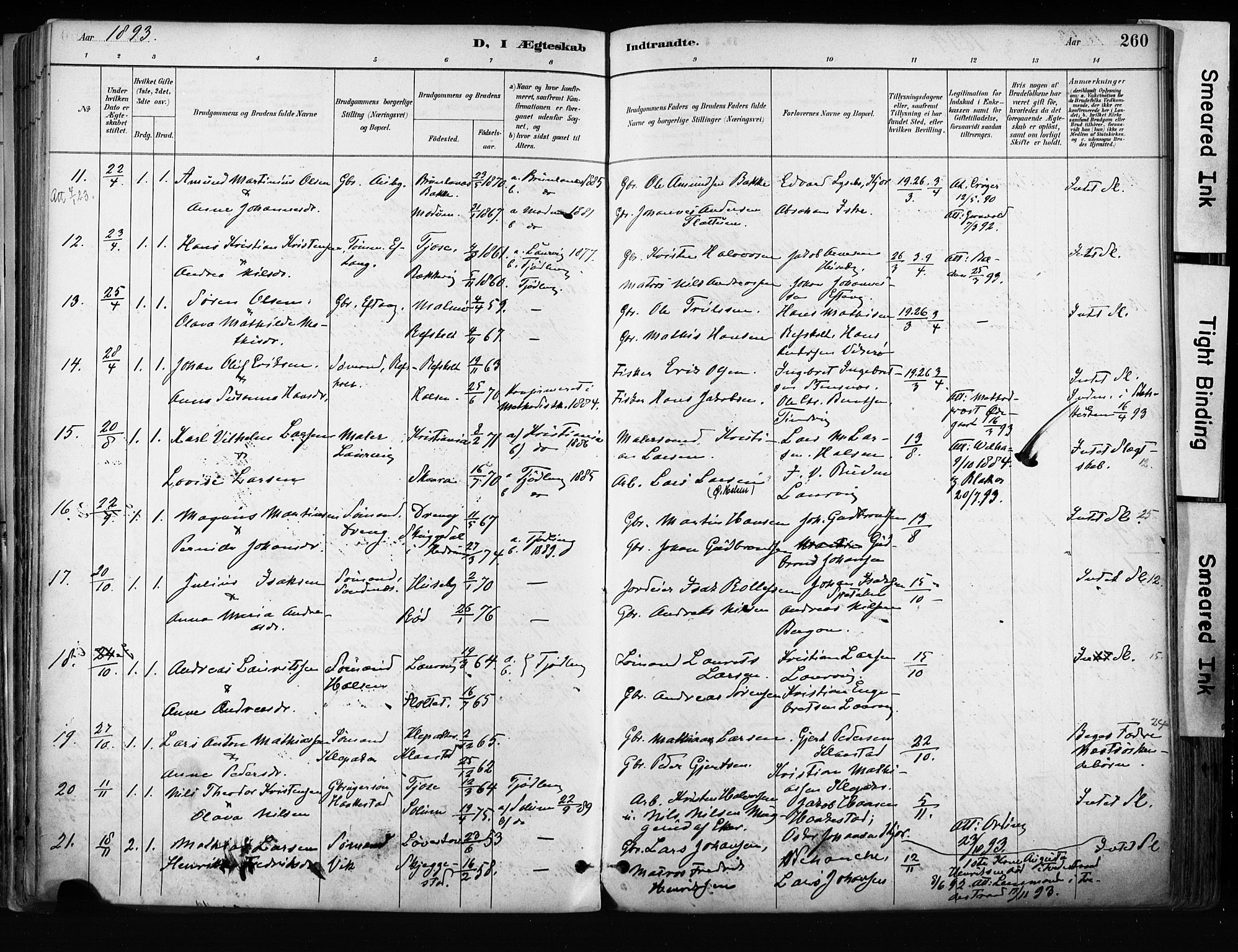 Tjølling kirkebøker, AV/SAKO-A-60/F/Fa/L0009: Parish register (official) no. 9, 1887-1905, p. 260