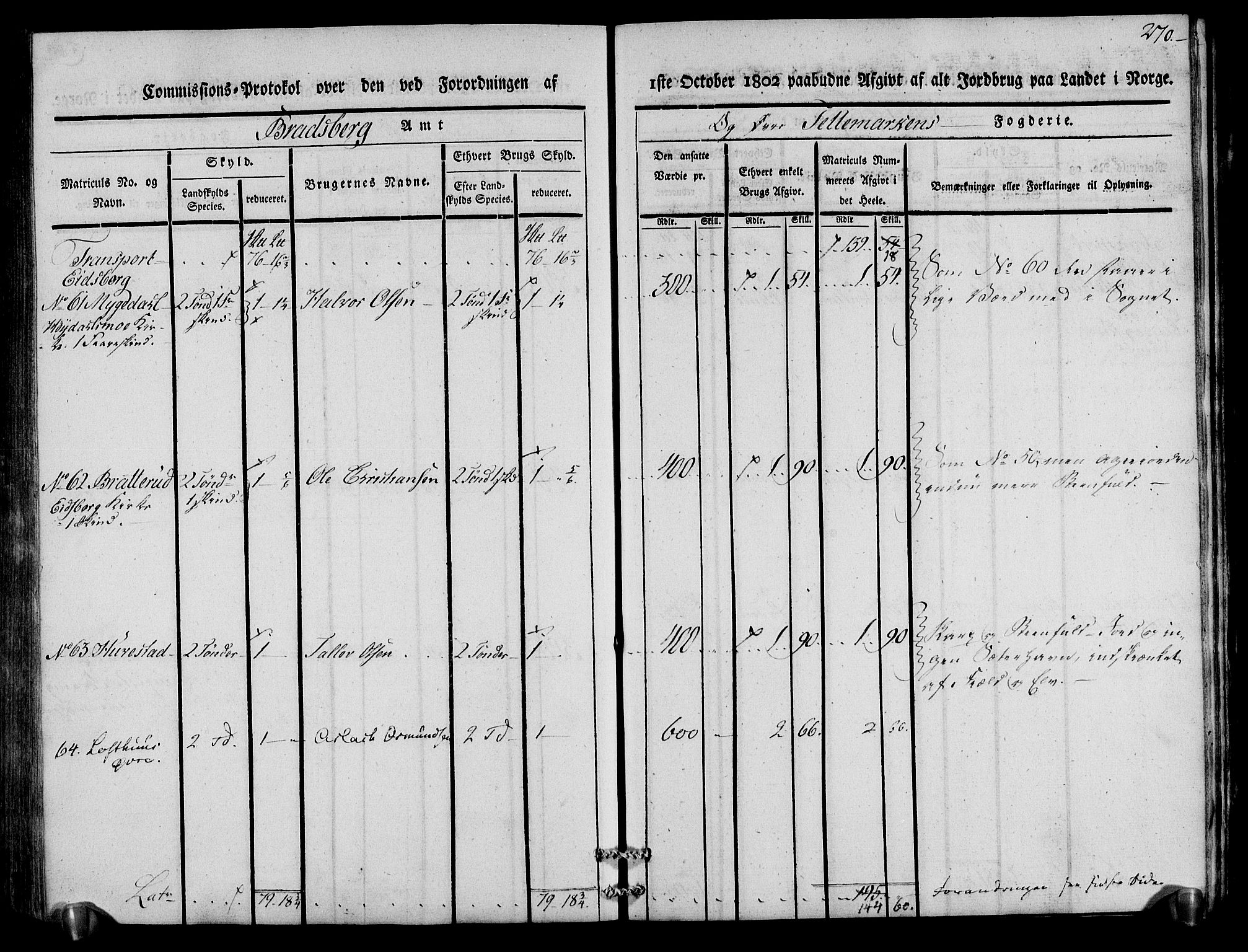 Rentekammeret inntil 1814, Realistisk ordnet avdeling, AV/RA-EA-4070/N/Ne/Nea/L0075: Øvre Telemarken fogderi. Kommisjonsprotokoll for fogderiets vestre del - Kviteseid, Vinje, Moland [):Fyresdal] og Lårdal prestegjeld., 1803, p. 272