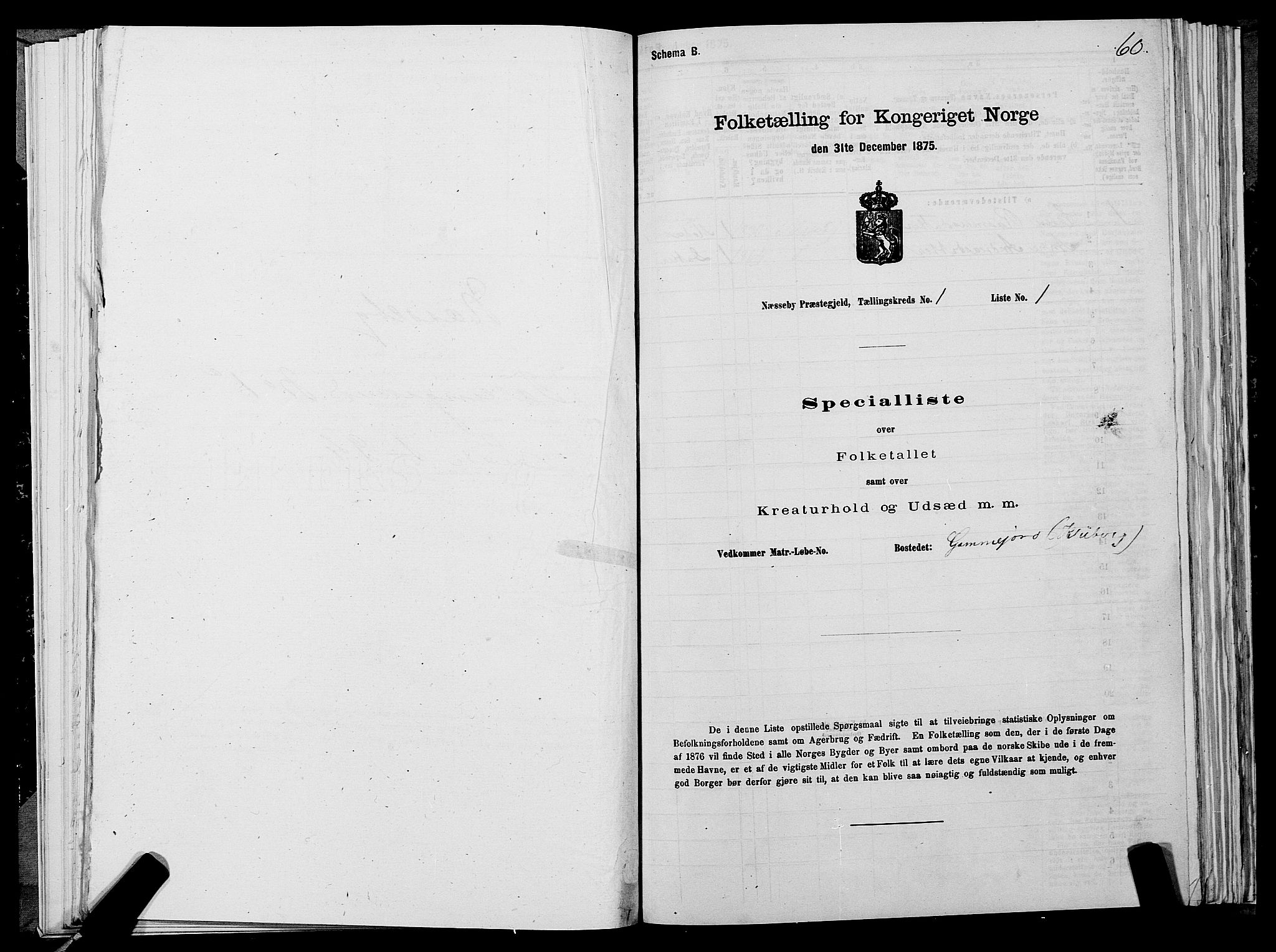 SATØ, 1875 census for 2027P Nesseby, 1875, p. 1060
