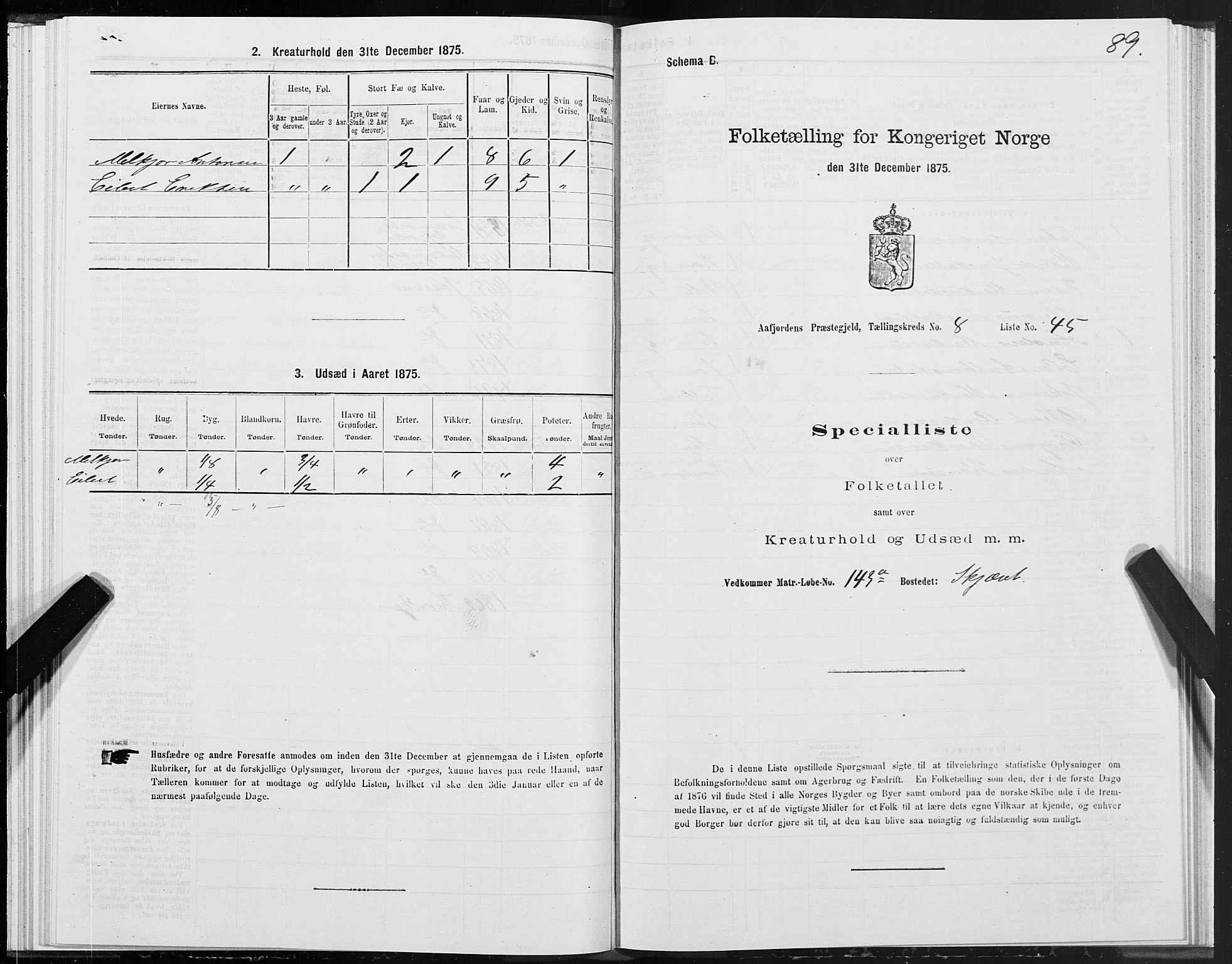 SAT, 1875 census for 1630P Aafjorden, 1875, p. 4089