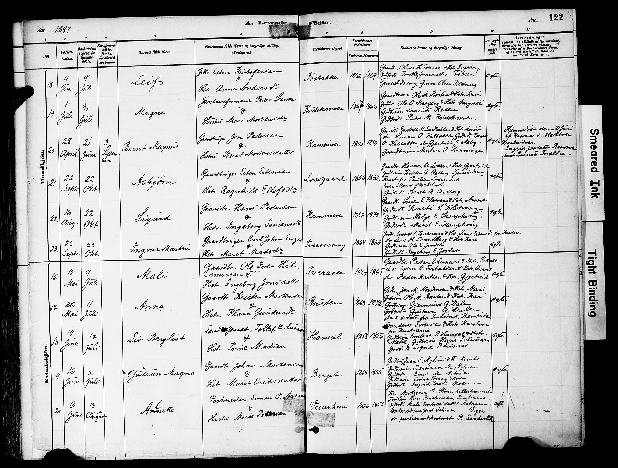 Tynset prestekontor, SAH/PREST-058/H/Ha/Haa/L0022: Parish register (official) no. 22, 1880-1899, p. 122