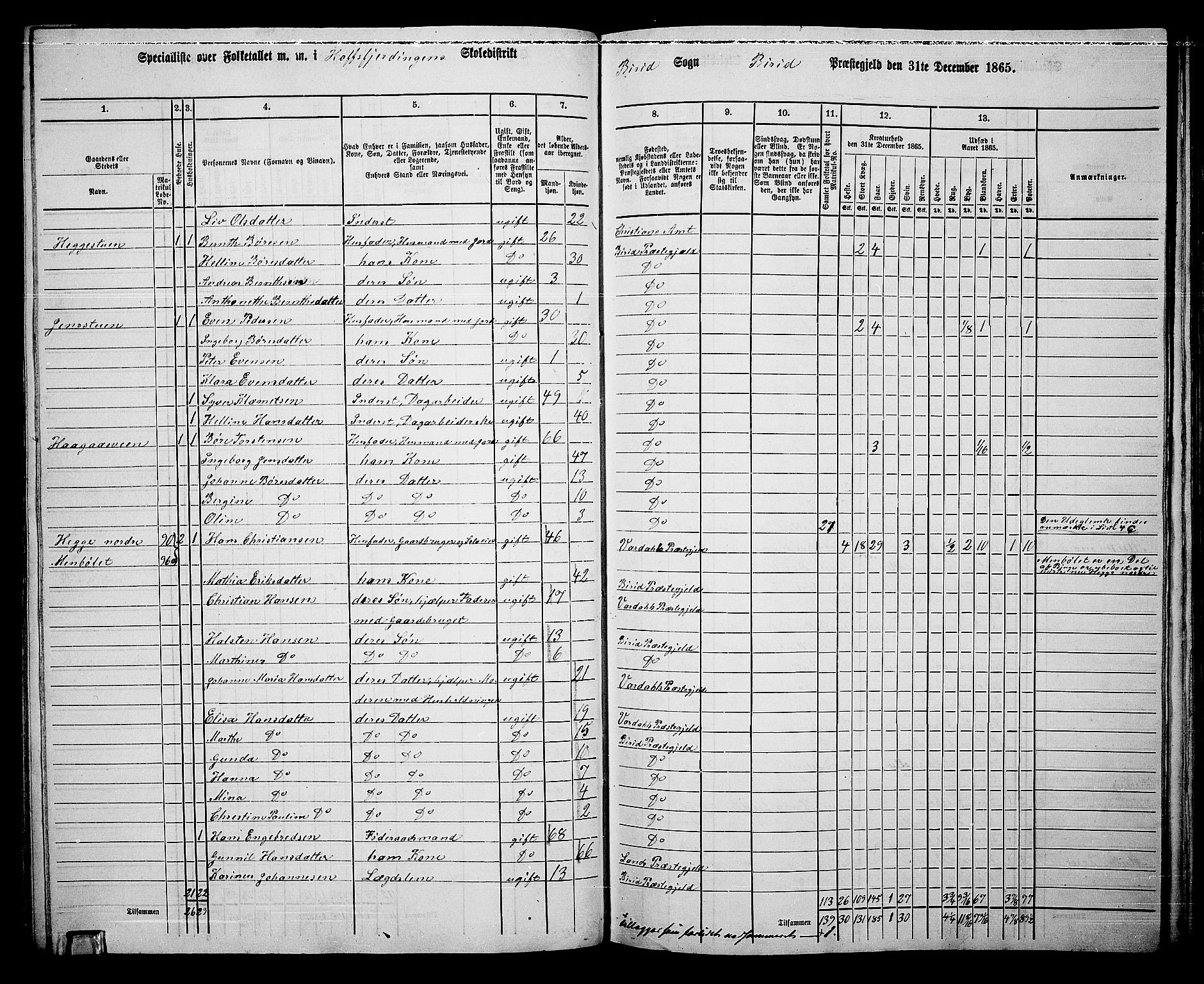 RA, 1865 census for Biri, 1865, p. 92