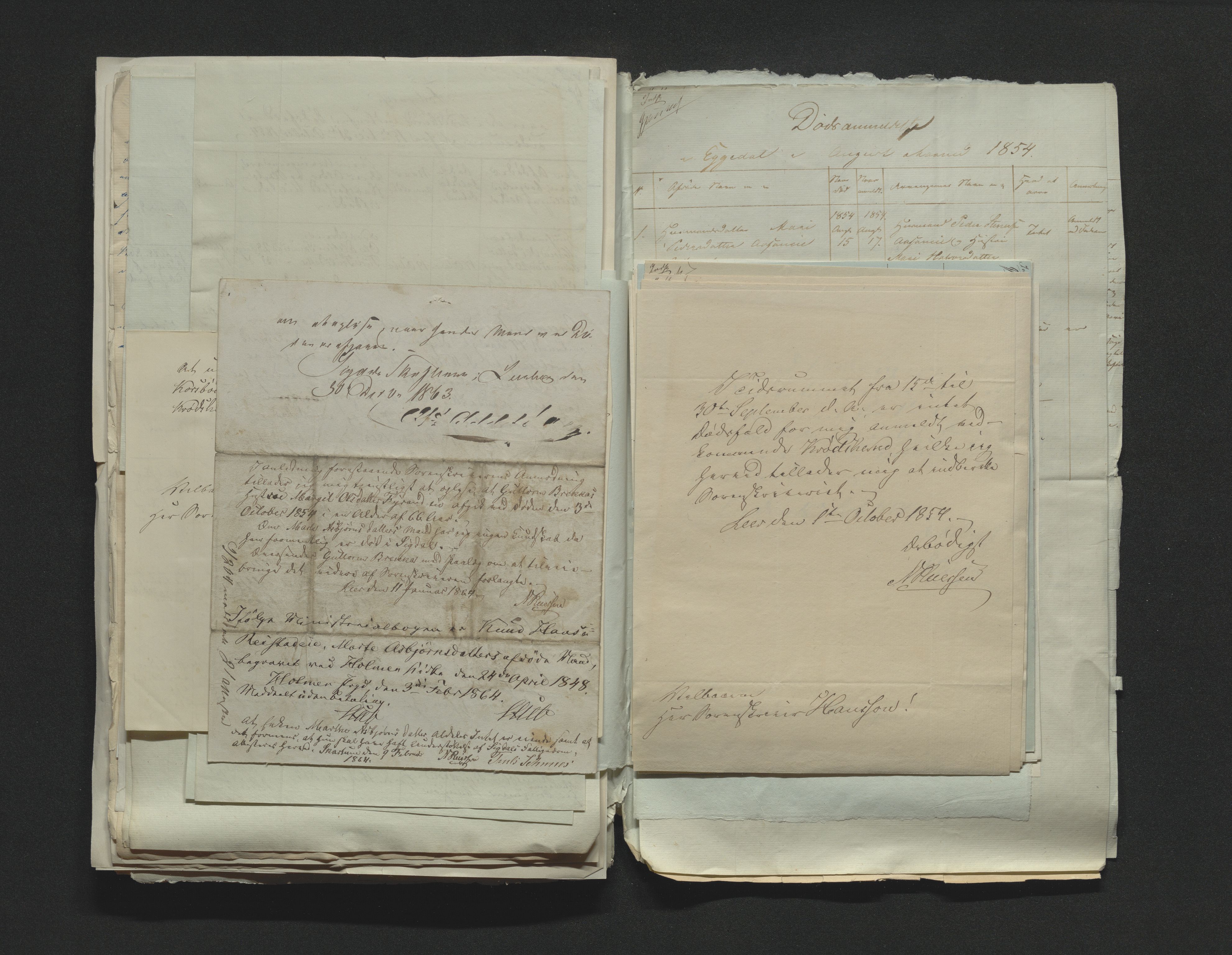 Eiker, Modum og Sigdal sorenskriveri, AV/SAKO-A-123/H/Ha/Hab/L0009: Dødsfallsmeldinger, 1854-1857, p. 104