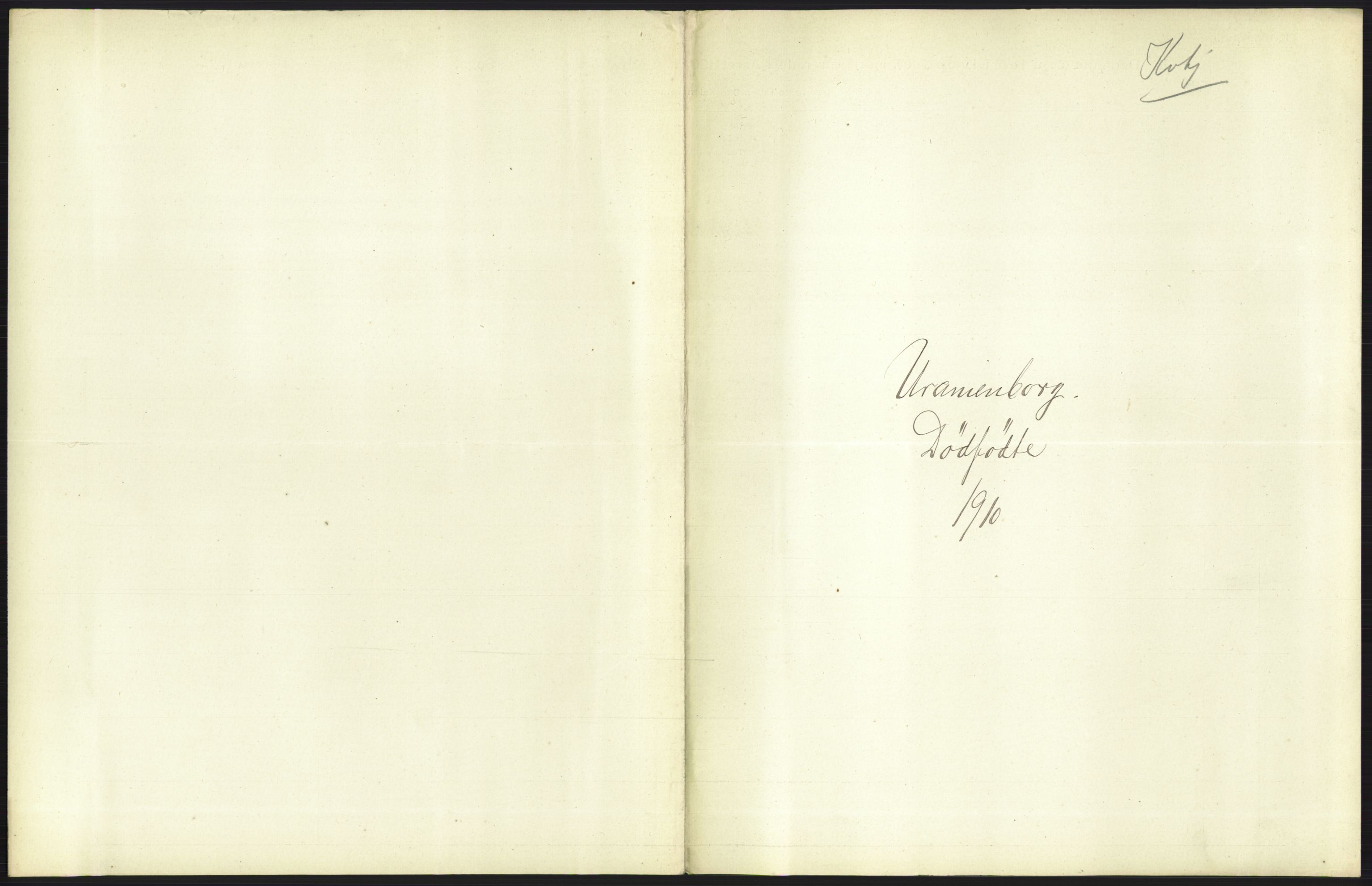 Statistisk sentralbyrå, Sosiodemografiske emner, Befolkning, AV/RA-S-2228/D/Df/Dfa/Dfah/L0009: Kristiania: Gifte og dødfødte., 1910, p. 819
