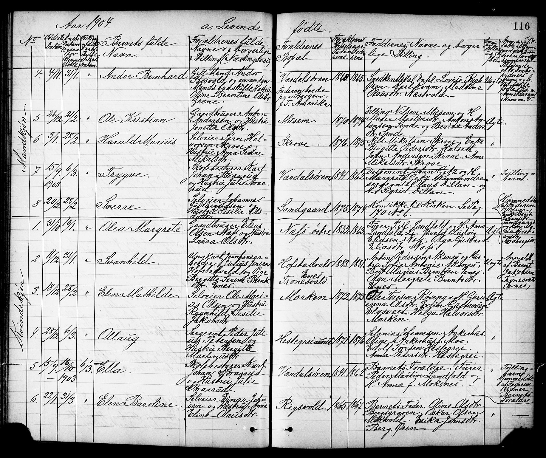 Ministerialprotokoller, klokkerbøker og fødselsregistre - Nord-Trøndelag, SAT/A-1458/723/L0257: Parish register (copy) no. 723C05, 1890-1907, p. 116