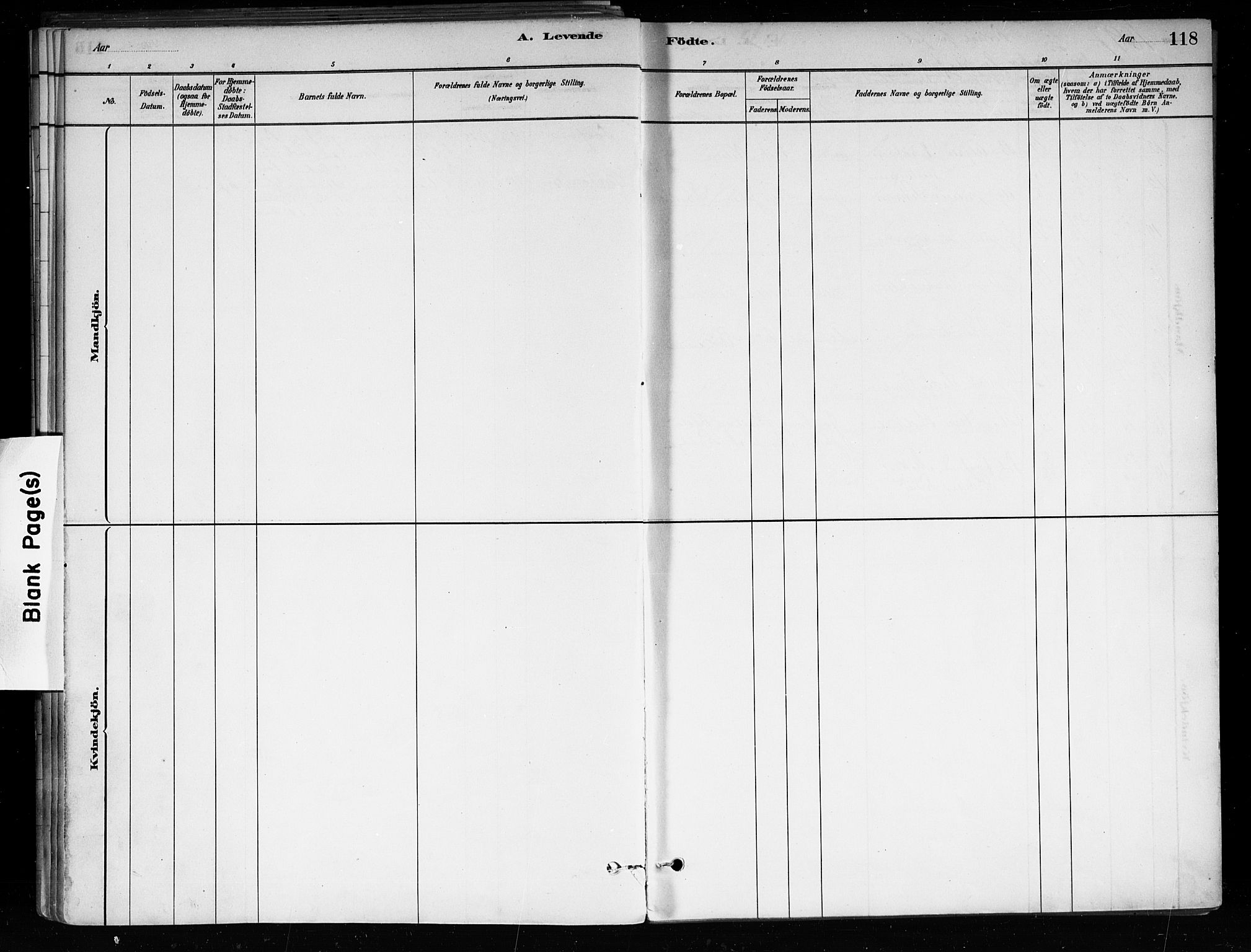 Røyken kirkebøker, SAKO/A-241/F/Fa/L0008: Parish register (official) no. 8, 1880-1897, p. 118