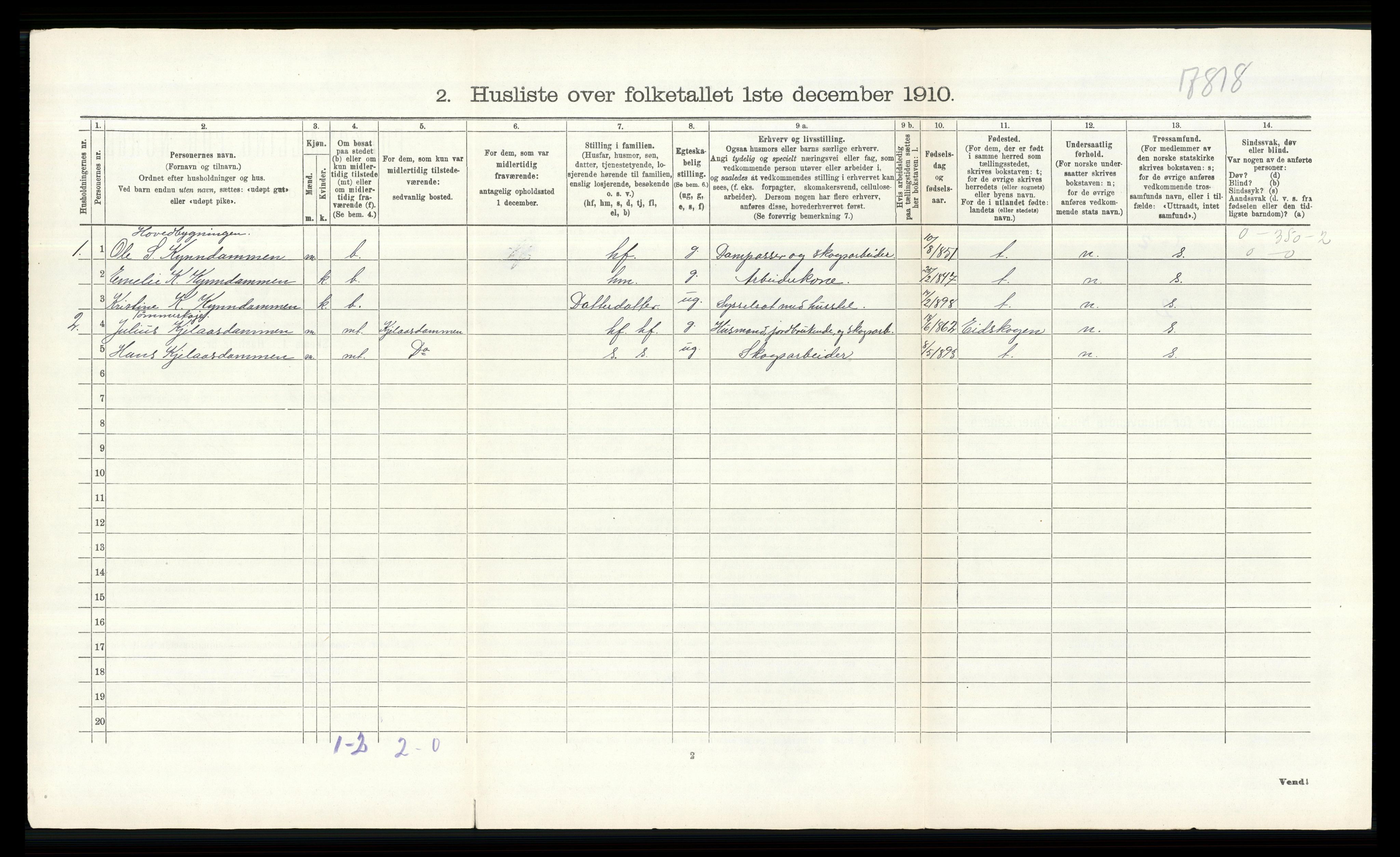 RA, 1910 census for Åsnes, 1910, p. 255