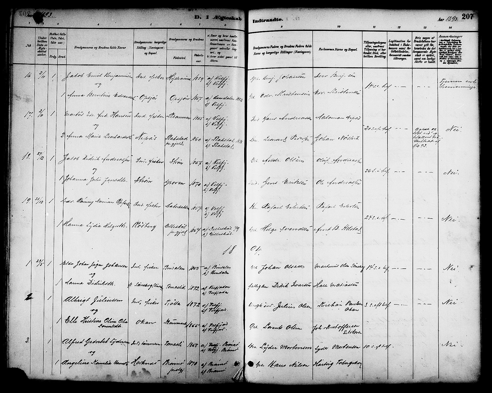 Ministerialprotokoller, klokkerbøker og fødselsregistre - Nordland, AV/SAT-A-1459/814/L0230: Parish register (copy) no. 814C03, 1884-1911, p. 207