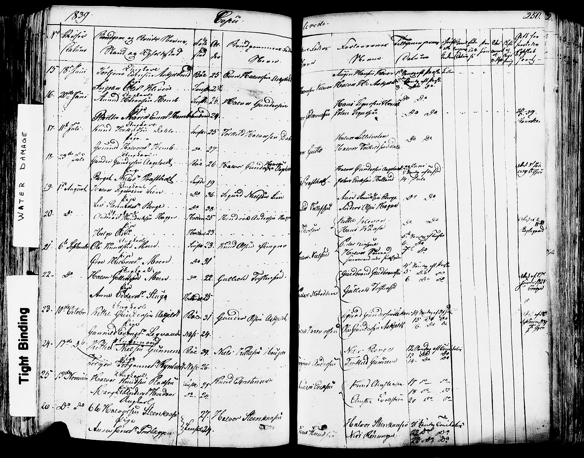 Sauherad kirkebøker, SAKO/A-298/F/Fa/L0006: Parish register (official) no. I 6, 1827-1850, p. 250
