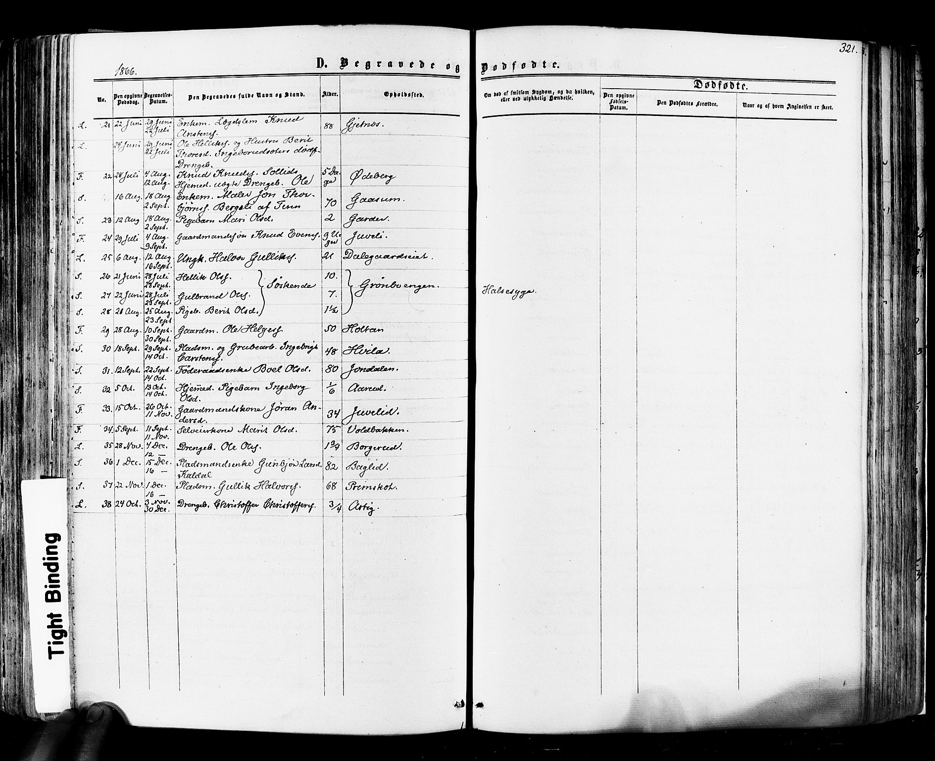 Flesberg kirkebøker, SAKO/A-18/F/Fa/L0007: Parish register (official) no. I 7, 1861-1878, p. 321