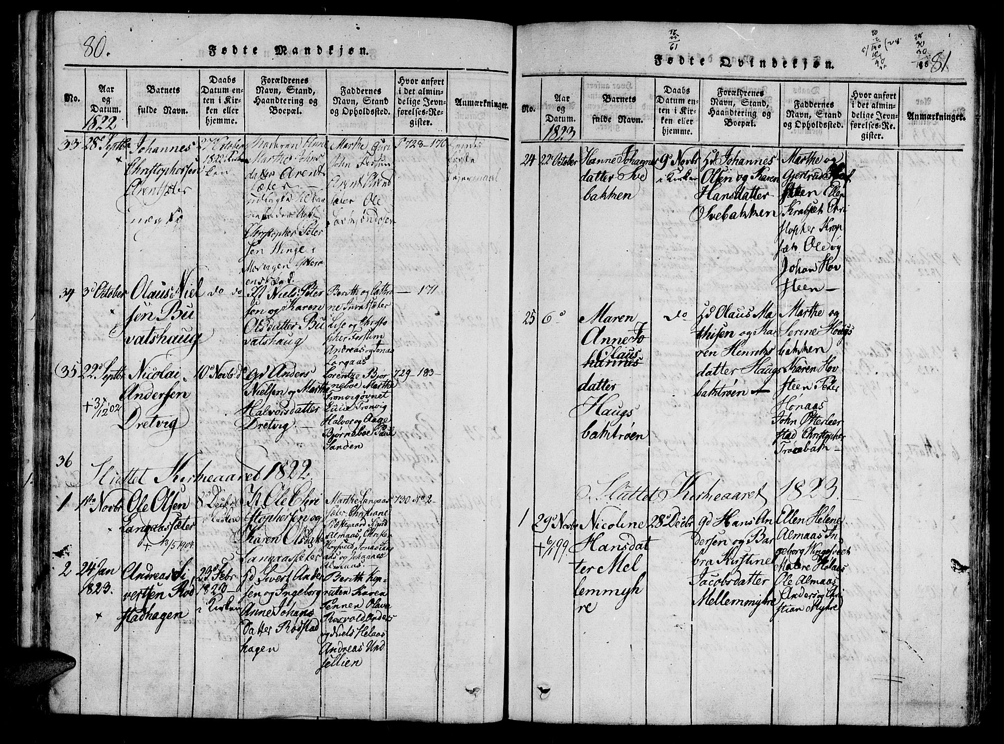 Ministerialprotokoller, klokkerbøker og fødselsregistre - Nord-Trøndelag, SAT/A-1458/701/L0005: Parish register (official) no. 701A05 /1, 1816-1825, p. 80-81