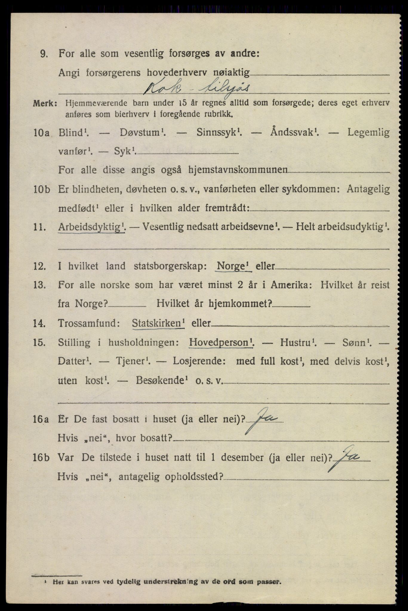SAKO, 1920 census for Nøtterøy, 1920, p. 4088
