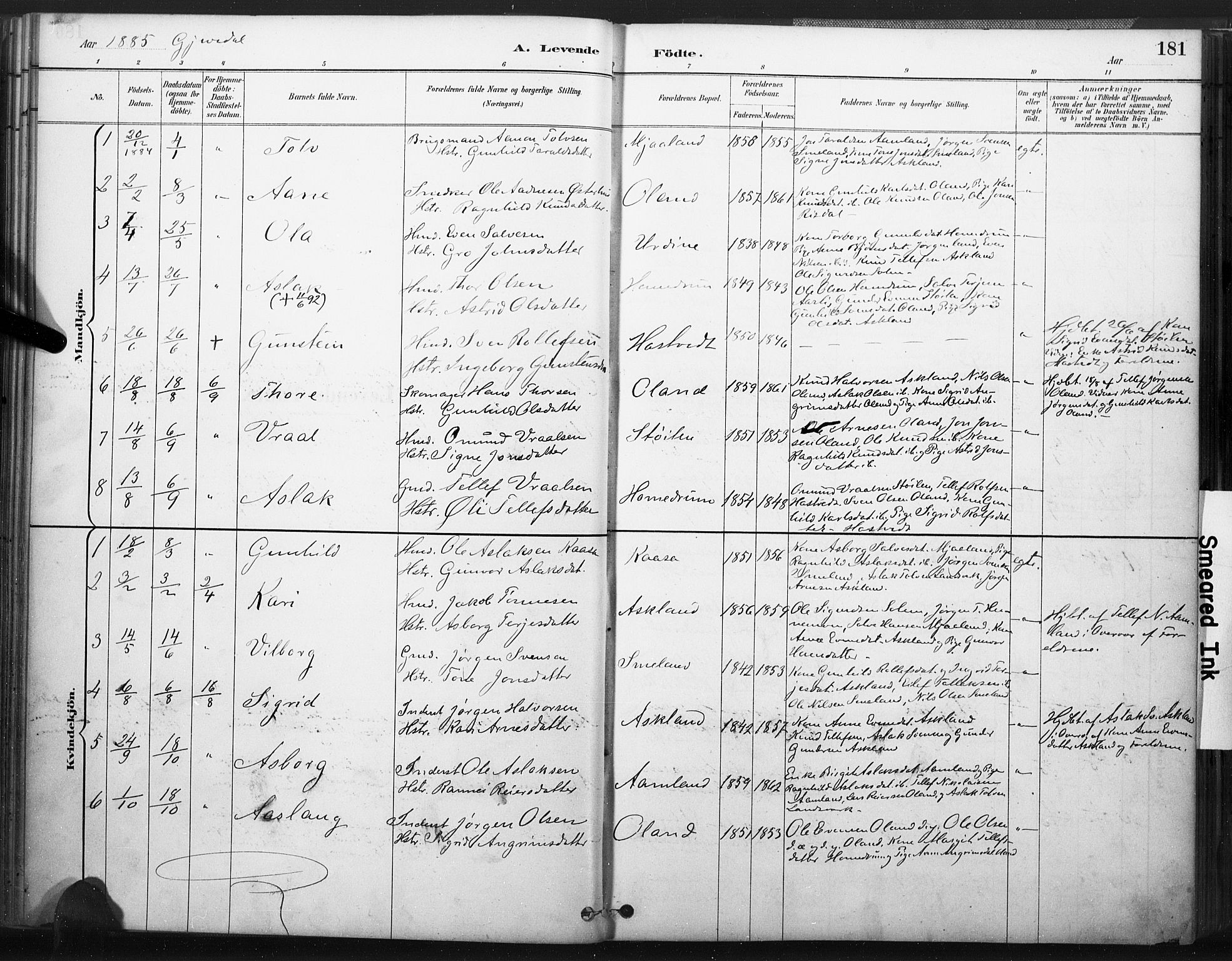 Åmli sokneprestkontor, SAK/1111-0050/F/Fa/Fac/L0010: Parish register (official) no. A 10 /2, 1885-1899, p. 181