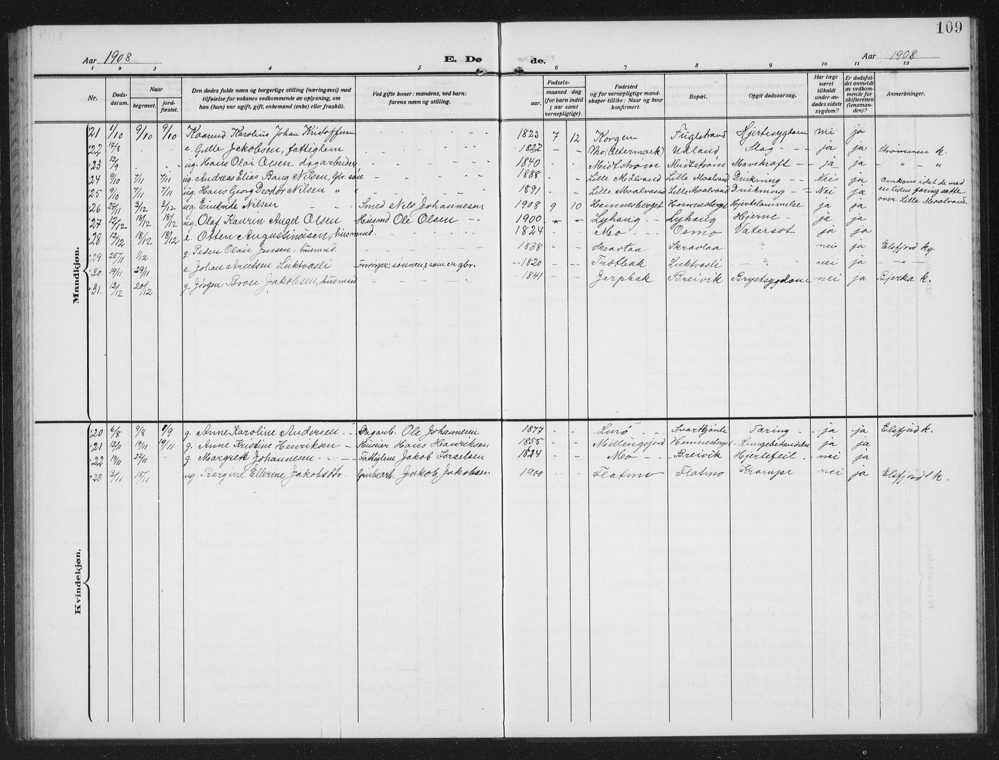 Ministerialprotokoller, klokkerbøker og fødselsregistre - Nordland, AV/SAT-A-1459/825/L0371: Parish register (copy) no. 825C08, 1907-1940, p. 109