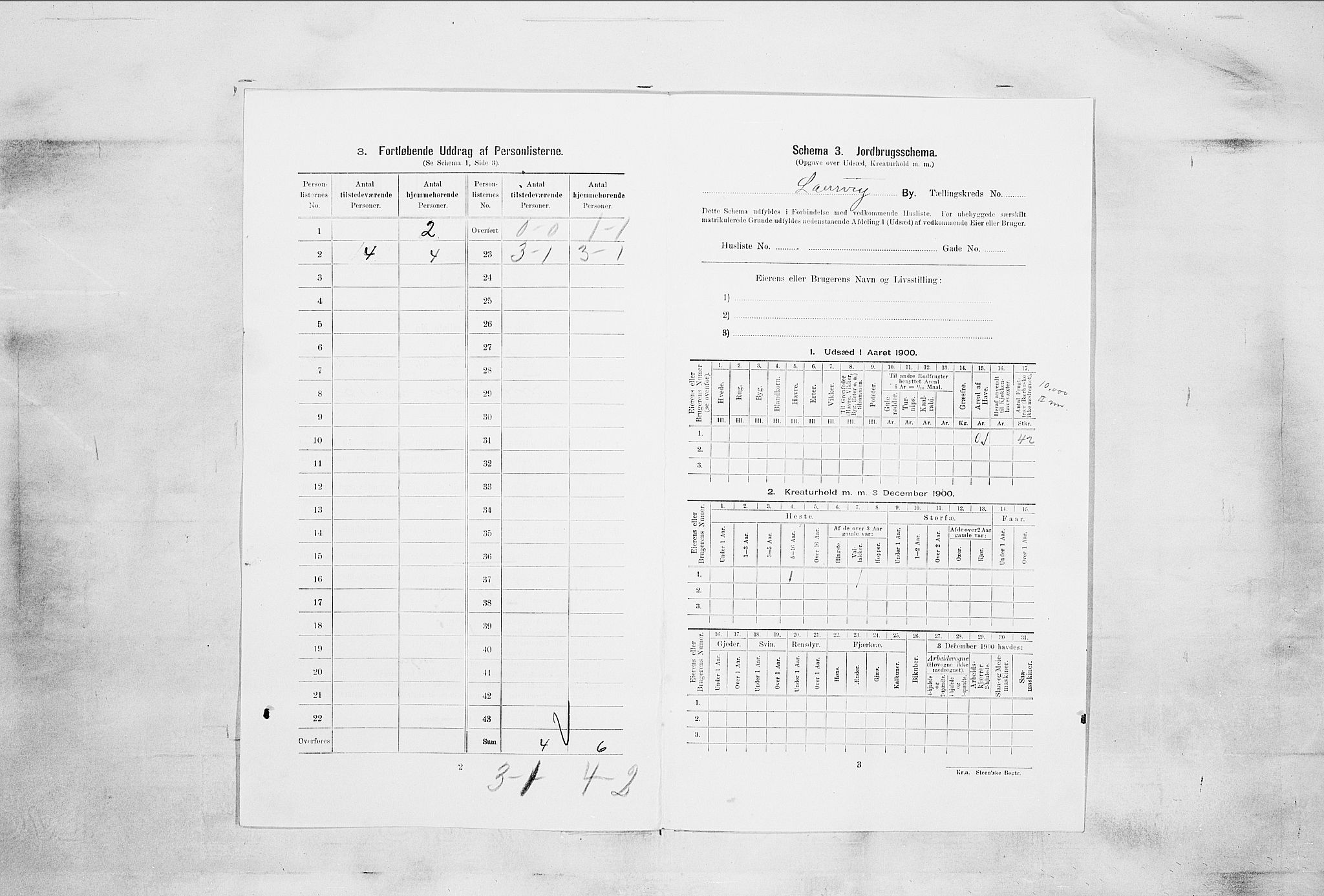 RA, 1900 census for Larvik, 1900, p. 7066