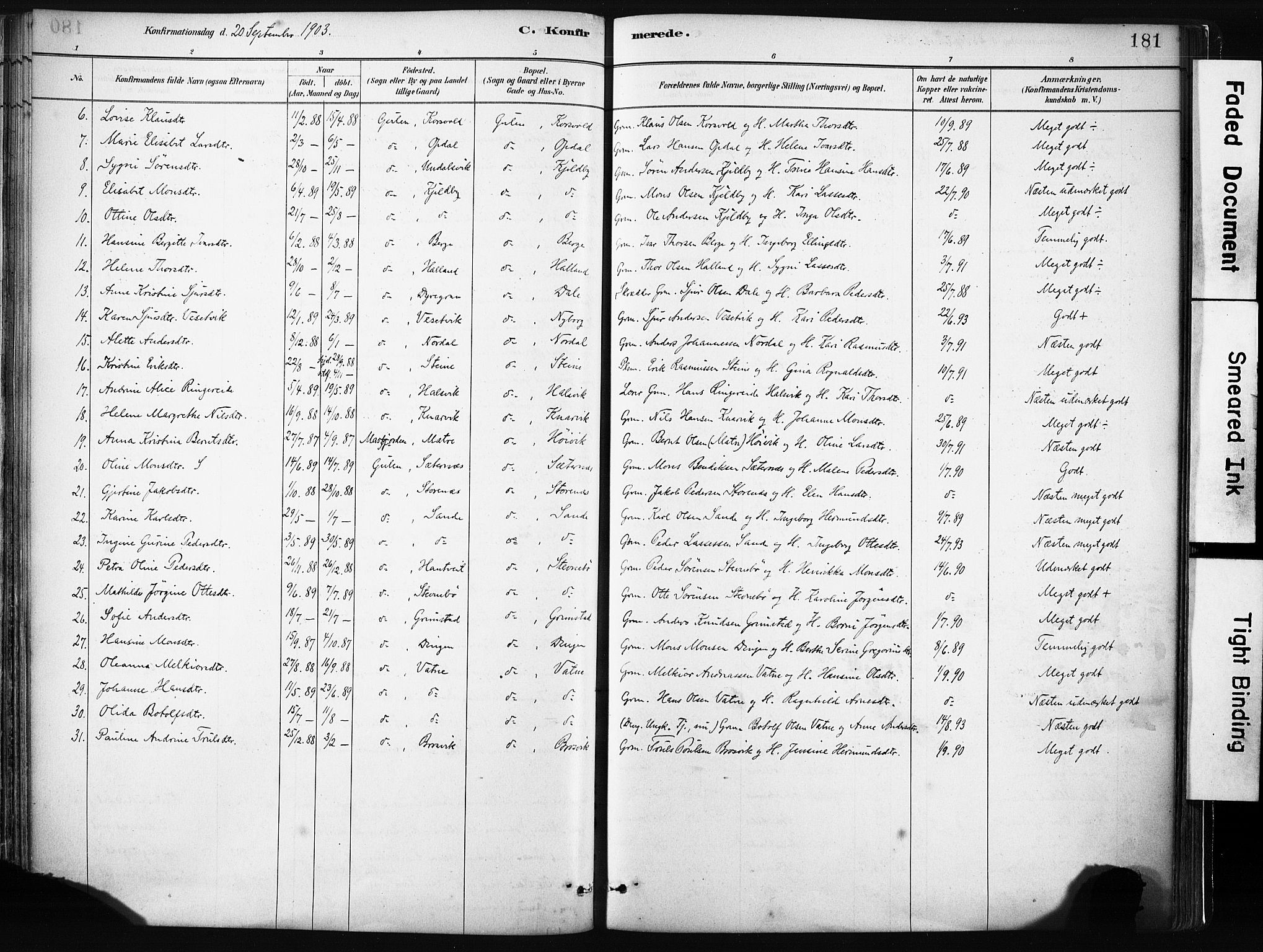 Gulen sokneprestembete, AV/SAB-A-80201/H/Haa/Haab/L0001: Parish register (official) no. B 1, 1881-1905, p. 181