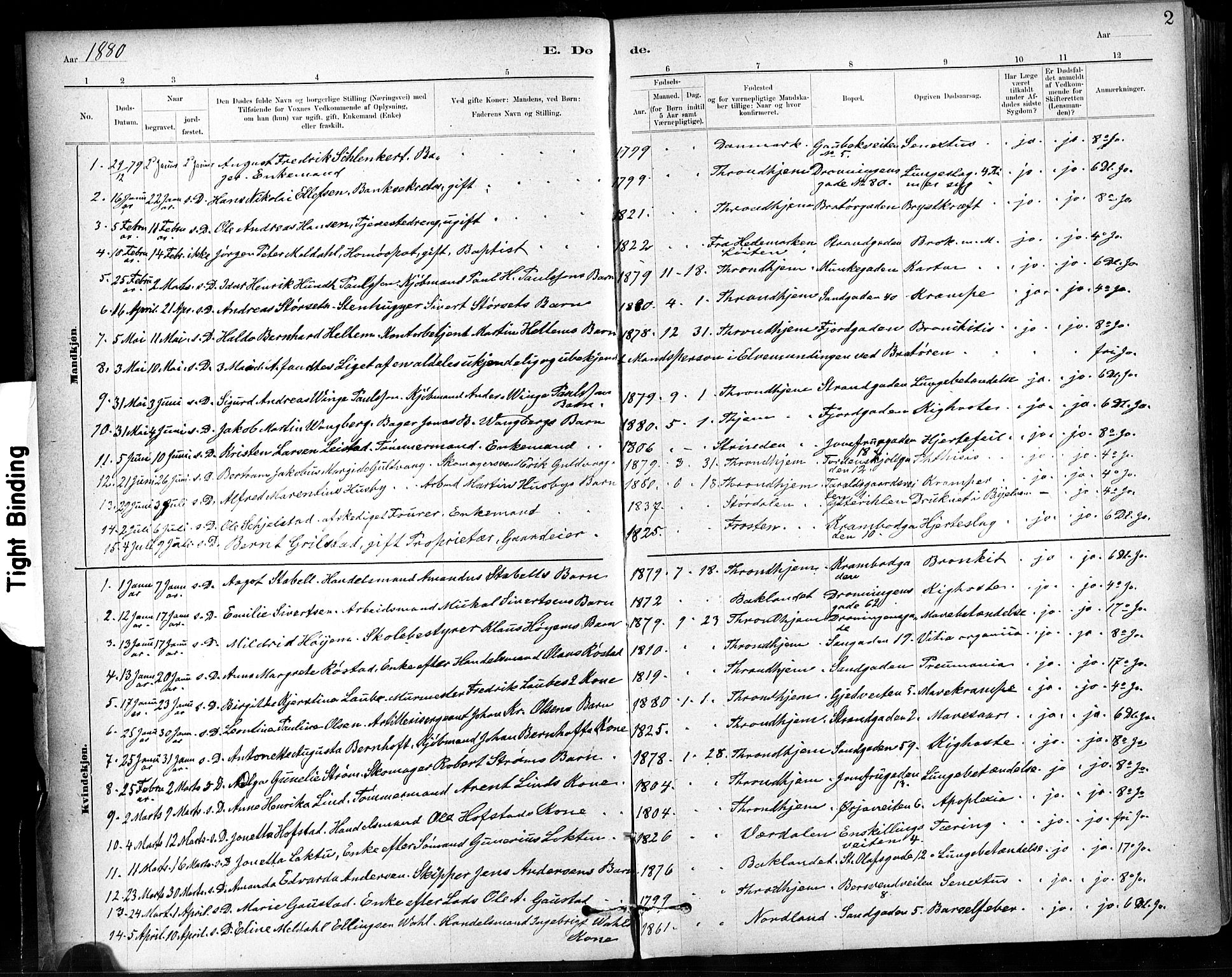 Ministerialprotokoller, klokkerbøker og fødselsregistre - Sør-Trøndelag, SAT/A-1456/602/L0120: Parish register (official) no. 602A18, 1880-1913, p. 2