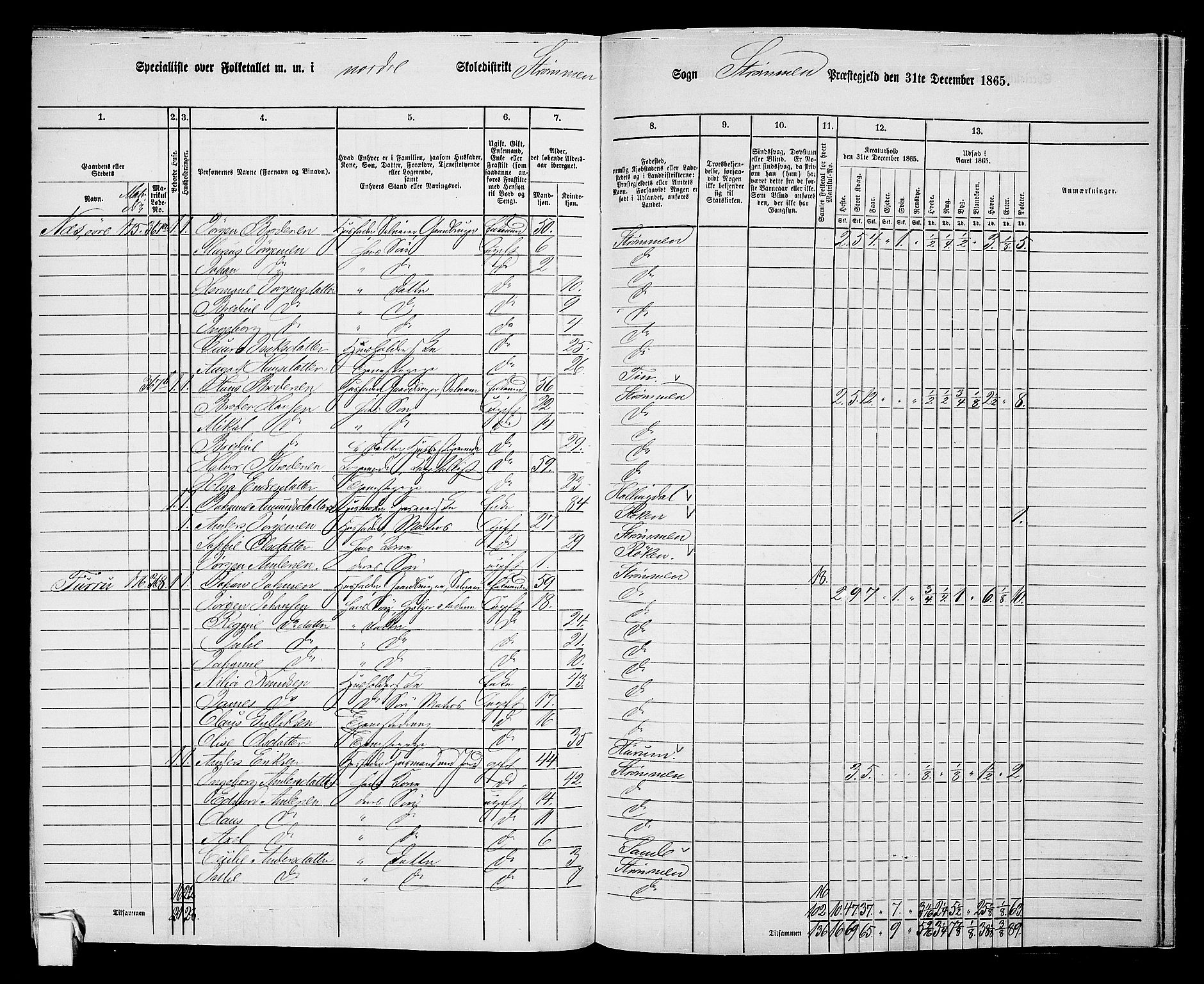 RA, 1865 census for Strømm, 1865, p. 40