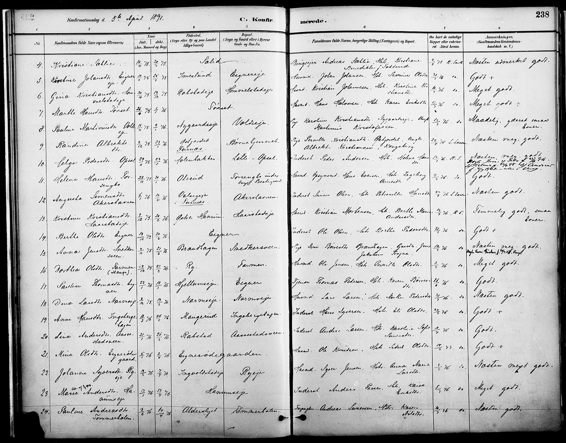 Vang prestekontor, Hedmark, AV/SAH-PREST-008/H/Ha/Haa/L0019A: Parish register (official) no. 19, 1886-1900, p. 238