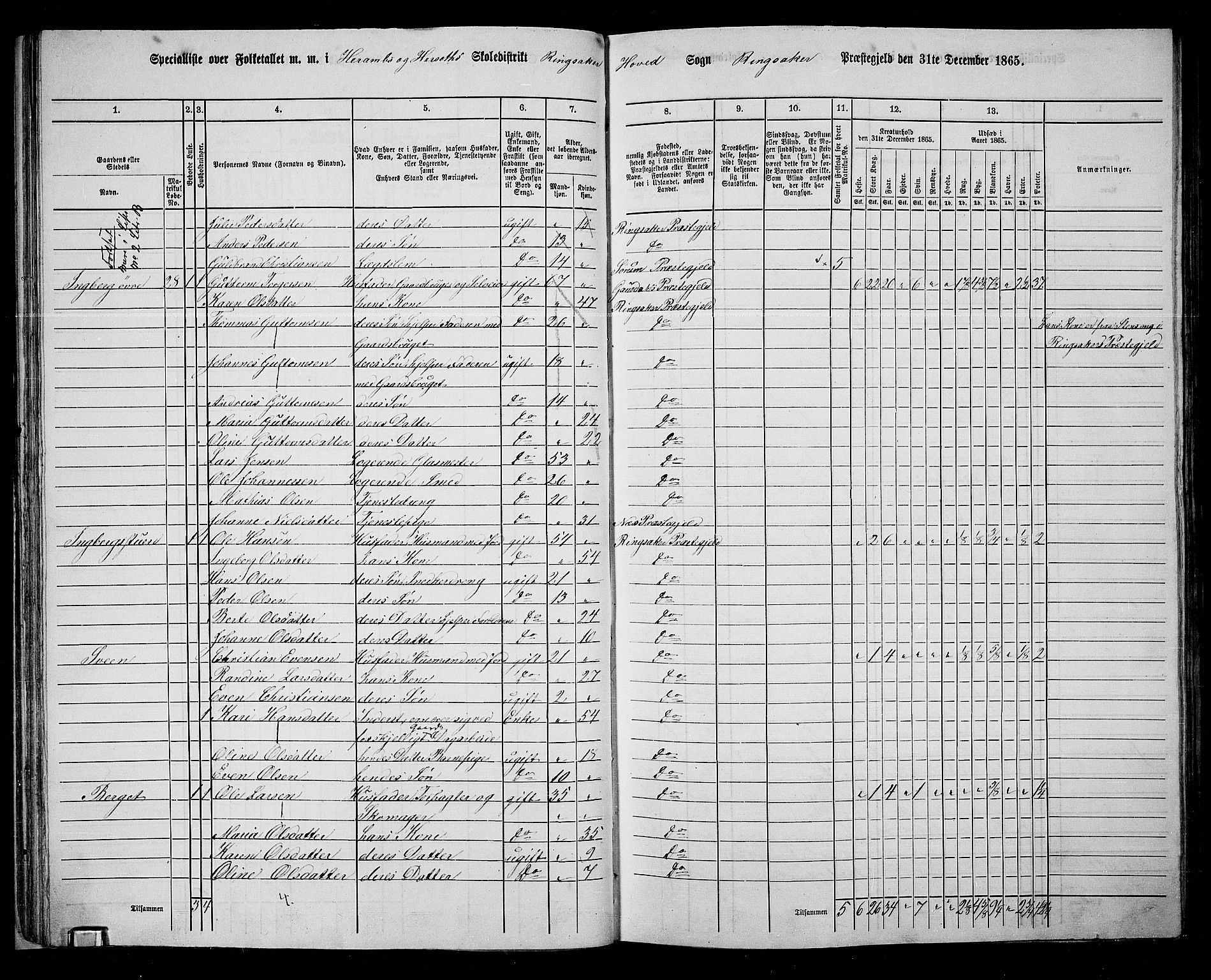 RA, 1865 census for Ringsaker, 1865, p. 56