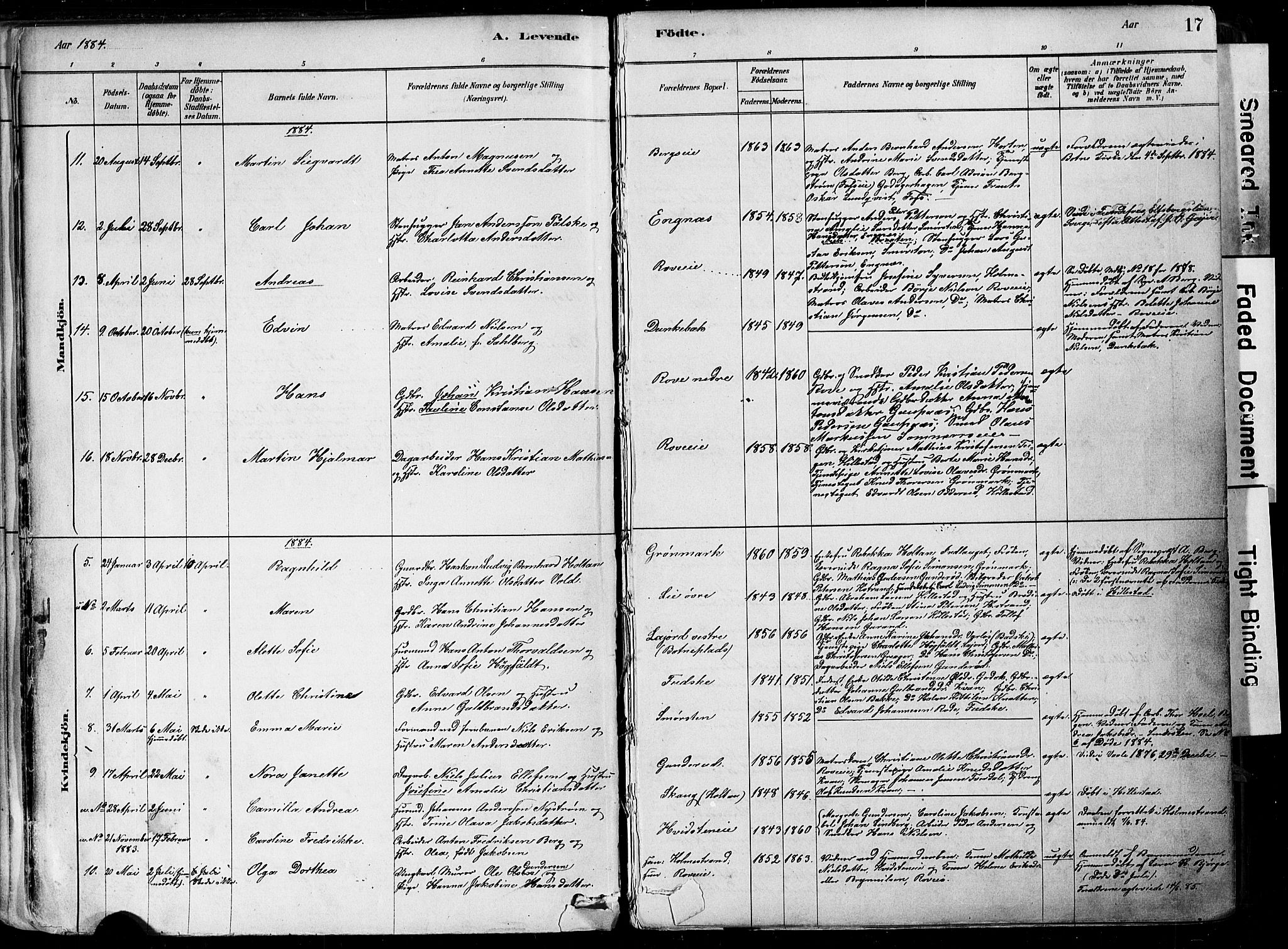 Botne kirkebøker, SAKO/A-340/F/Fa/L0007: Parish register (official) no. I 7, 1878-1910, p. 17