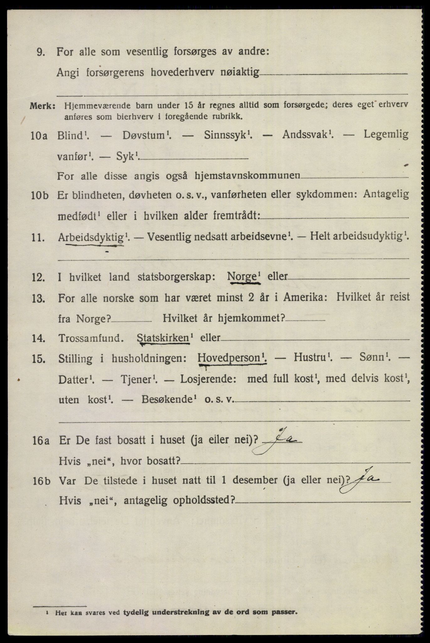 SAKO, 1920 census for Hol (Buskerud), 1920, p. 4084