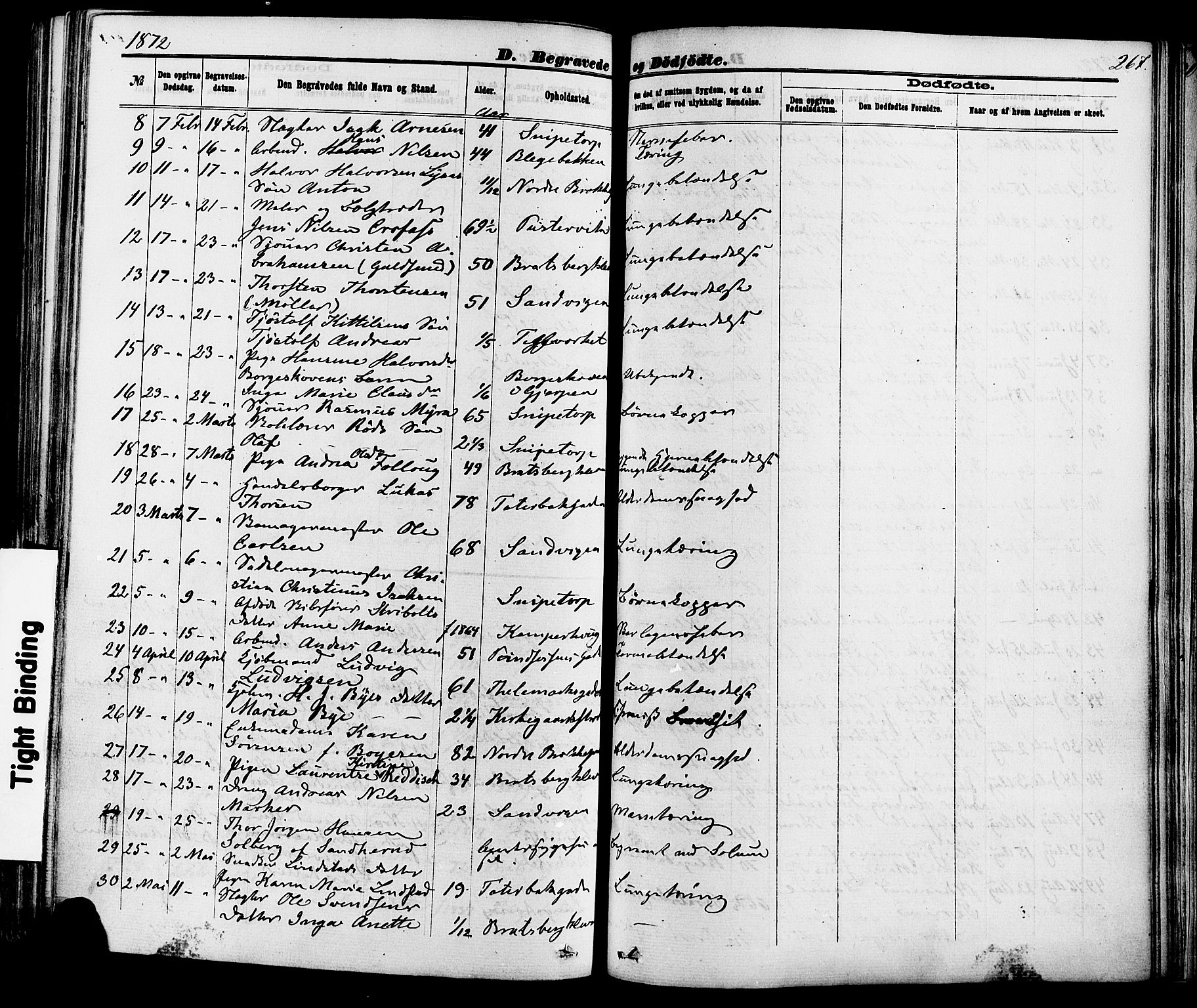 Skien kirkebøker, AV/SAKO-A-302/F/Fa/L0008: Parish register (official) no. 8, 1866-1877, p. 267