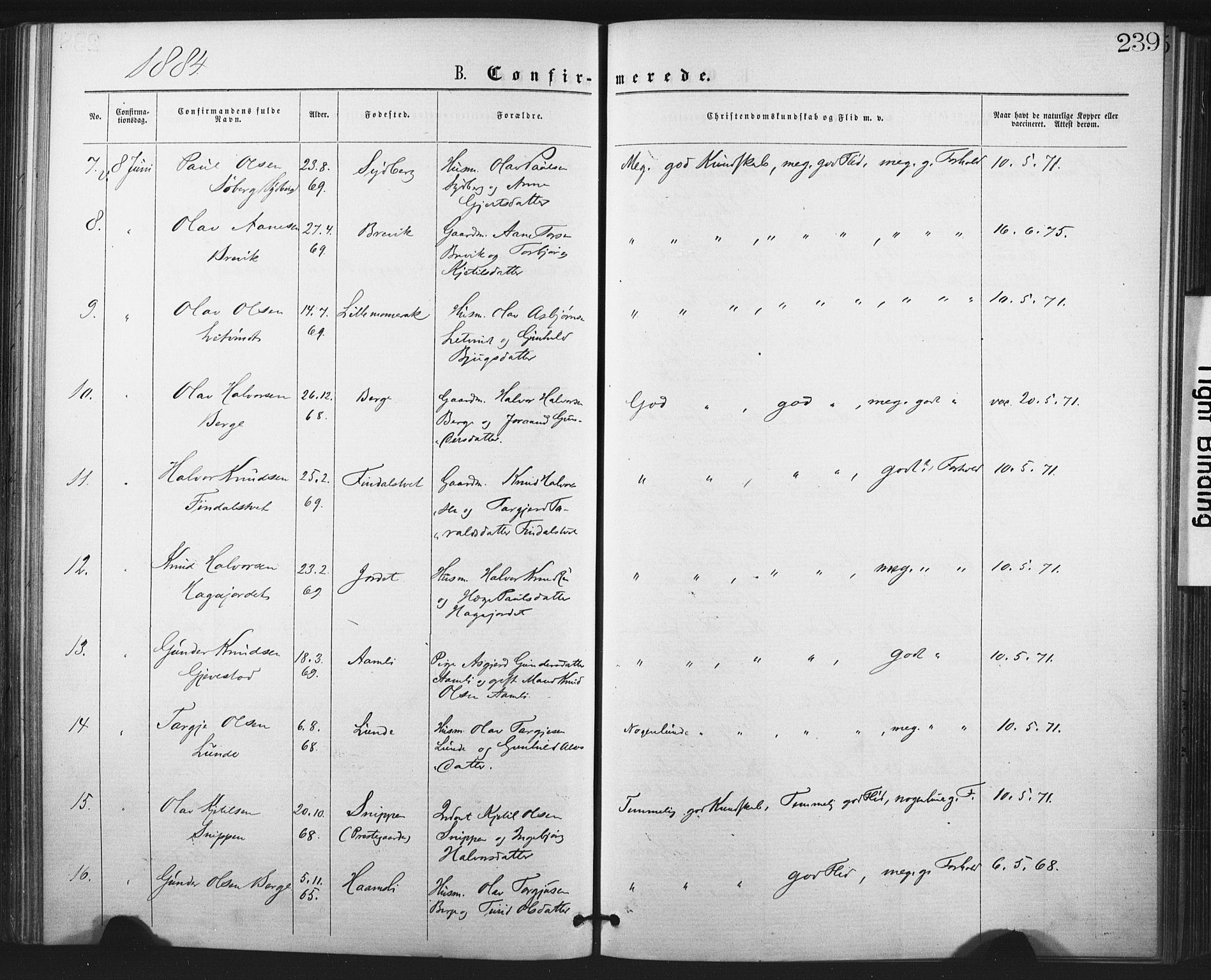 Fyresdal kirkebøker, AV/SAKO-A-263/F/Fa/L0006: Parish register (official) no. I 6, 1872-1886, p. 239