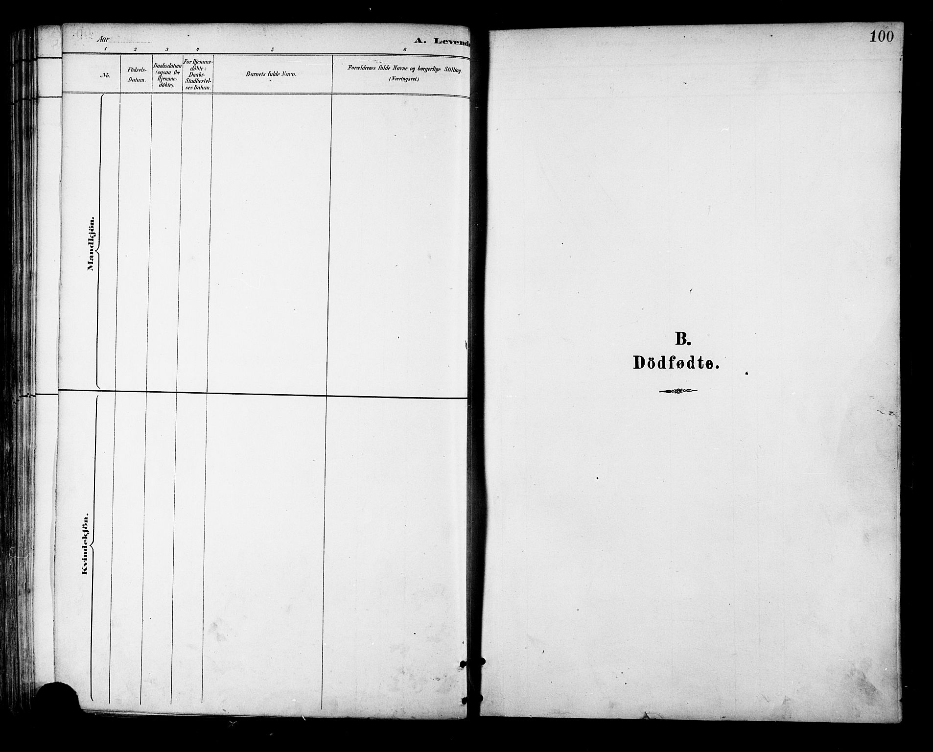 Ministerialprotokoller, klokkerbøker og fødselsregistre - Nordland, SAT/A-1459/881/L1167: Parish register (copy) no. 881C04, 1886-1899, p. 100