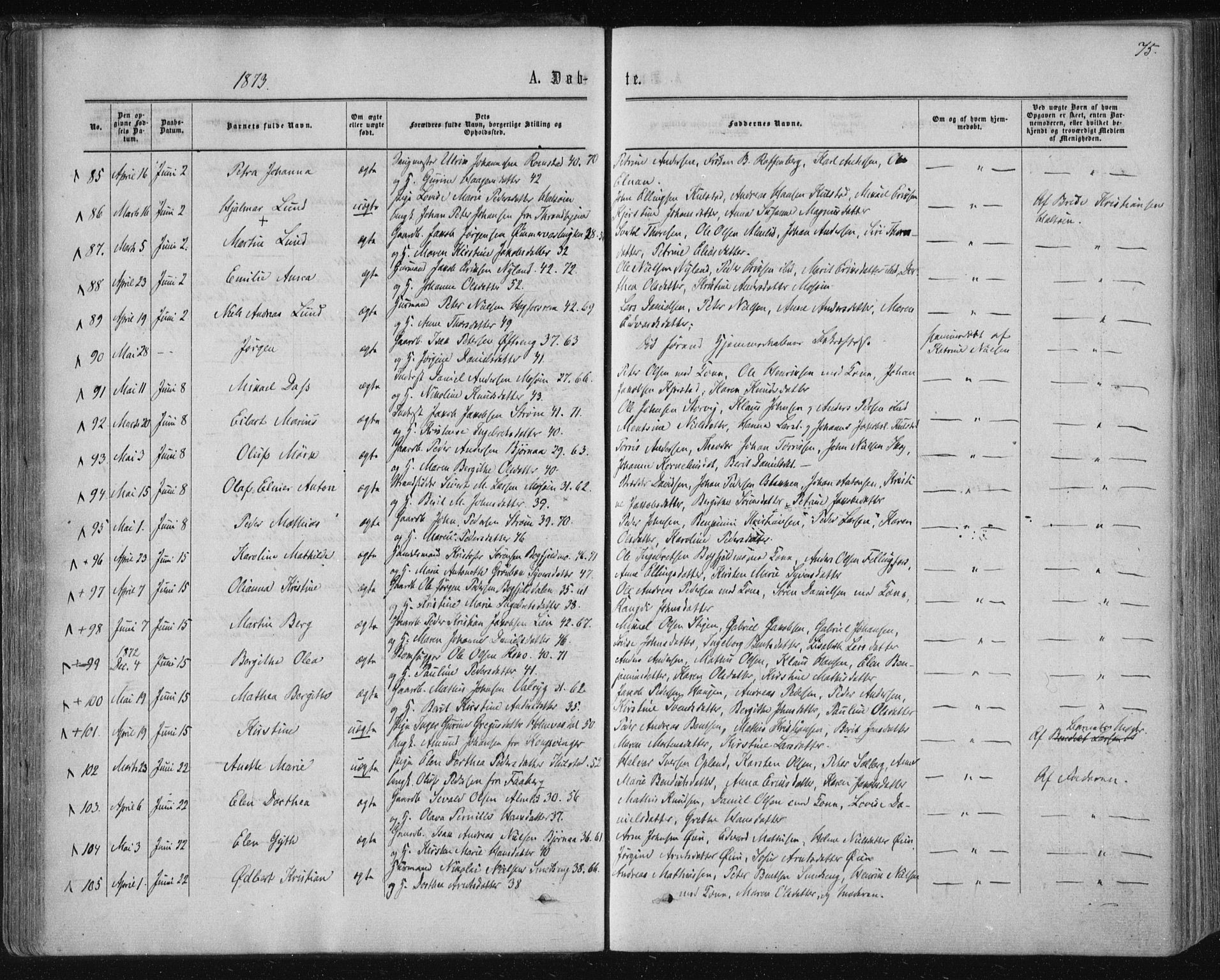 Ministerialprotokoller, klokkerbøker og fødselsregistre - Nordland, SAT/A-1459/820/L0294: Parish register (official) no. 820A15, 1866-1879, p. 75