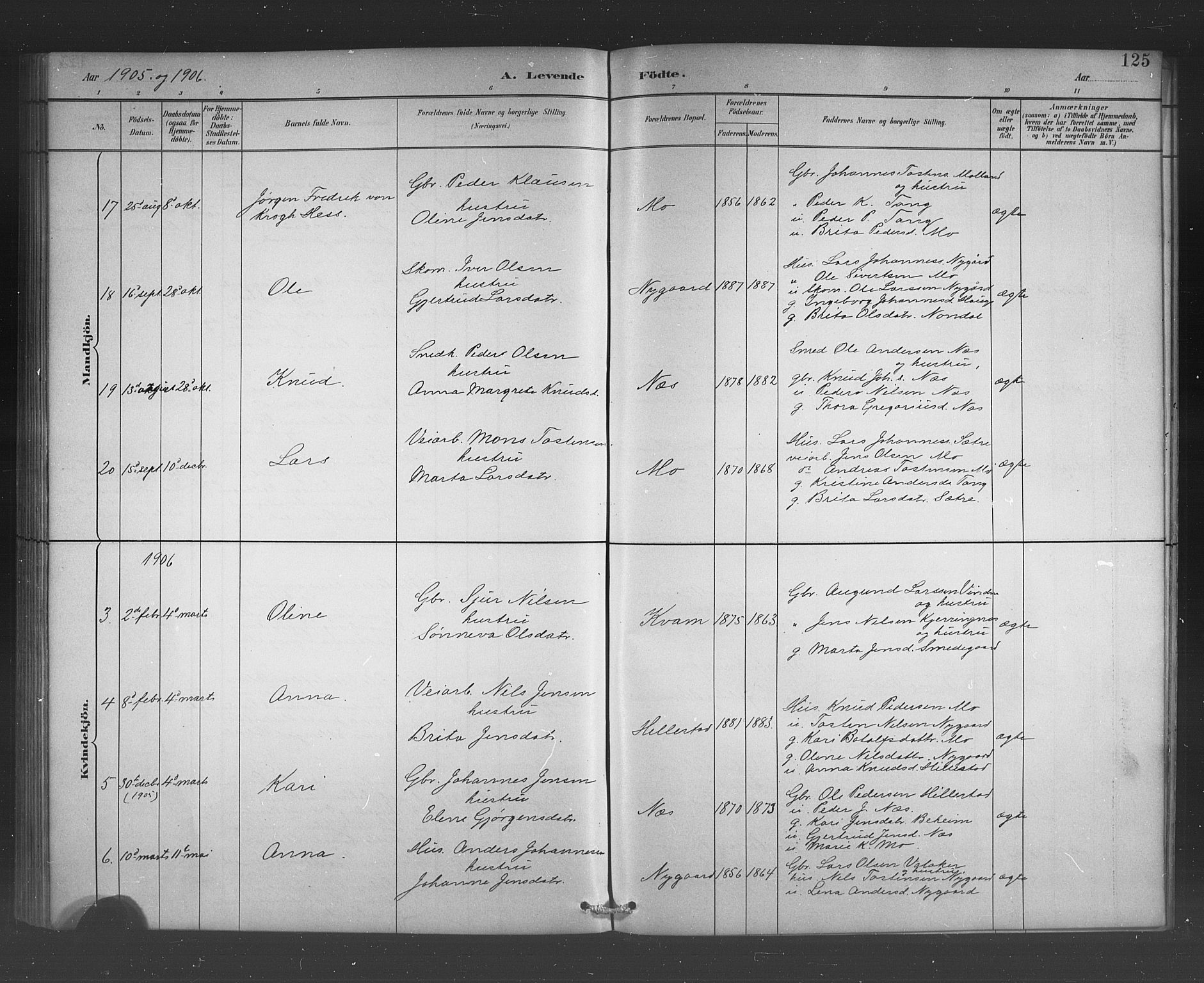 Hafslo sokneprestembete, SAB/A-80301/H/Hab/Habb/L0001: Parish register (copy) no. B 1, 1882-1908, p. 125