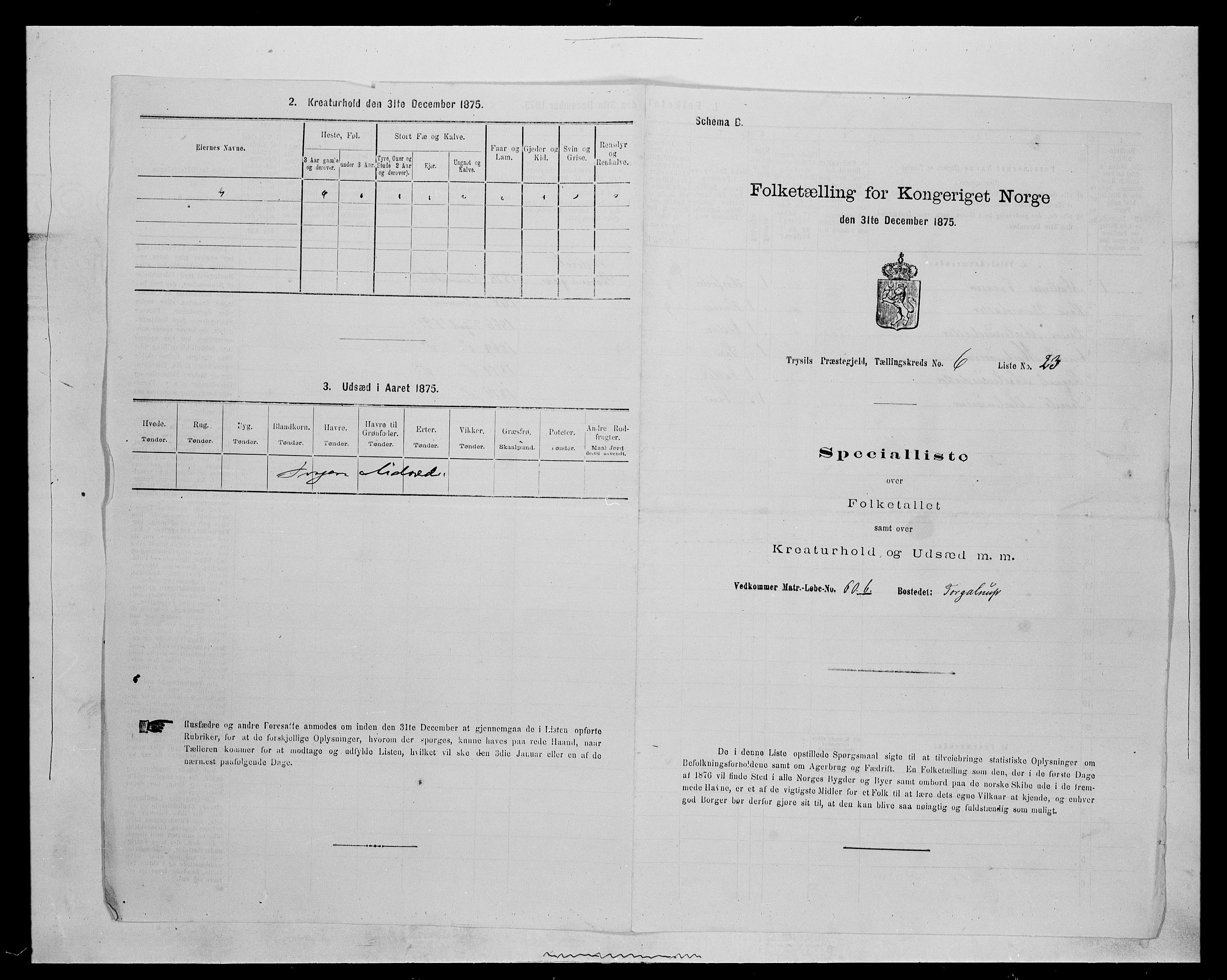 SAH, 1875 census for 0428P Trysil, 1875, p. 765