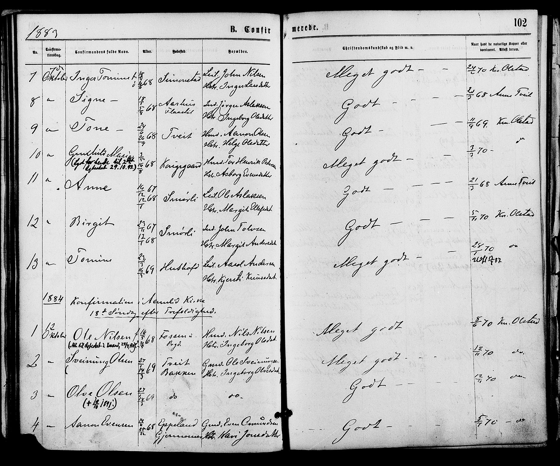 Åmli sokneprestkontor, SAK/1111-0050/F/Fa/Fac/L0009: Parish register (official) no. A 9 /1, 1869-1884, p. 102