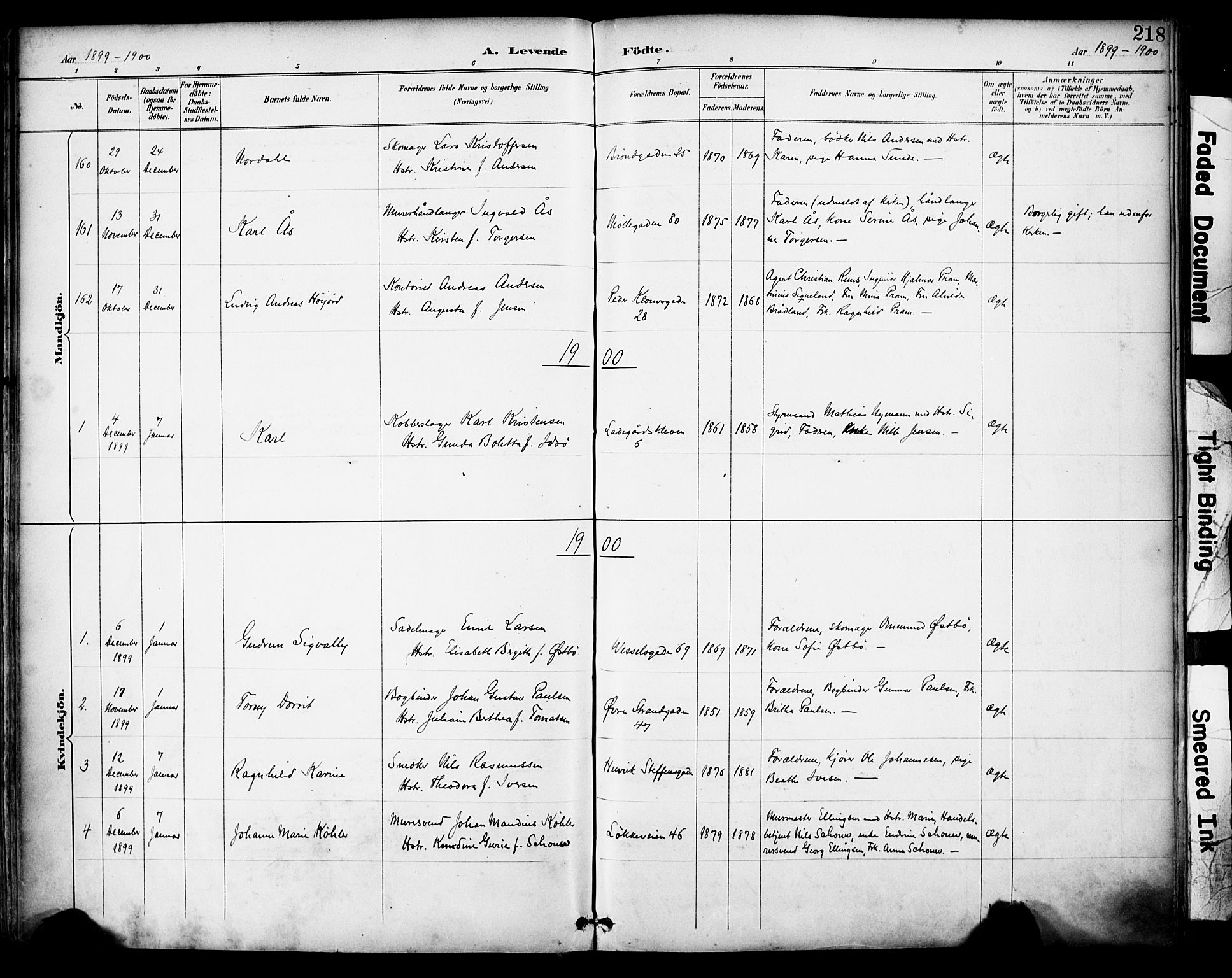 Domkirken sokneprestkontor, SAST/A-101812/001/30/30BA/L0030: Parish register (official) no. A 29, 1889-1902, p. 218