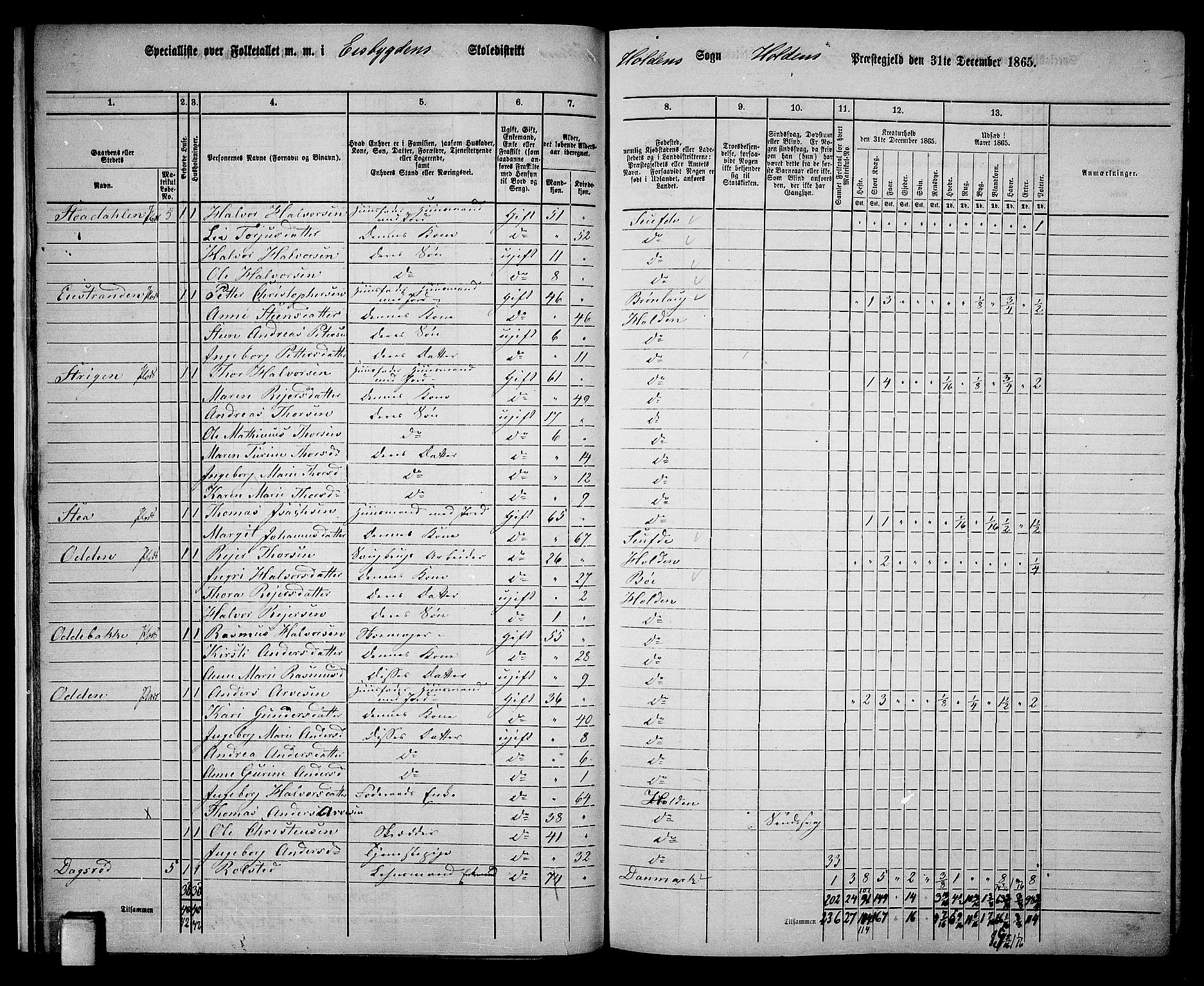 RA, 1865 census for Holla, 1865, p. 19