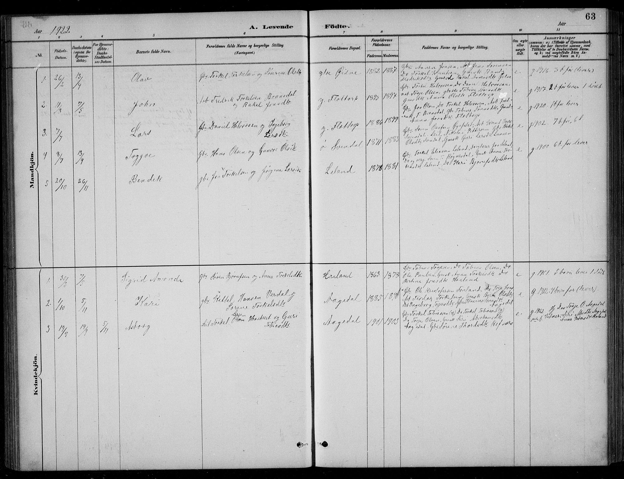 Bjelland sokneprestkontor, AV/SAK-1111-0005/F/Fb/Fbc/L0003: Parish register (copy) no. B 3, 1887-1924, p. 63