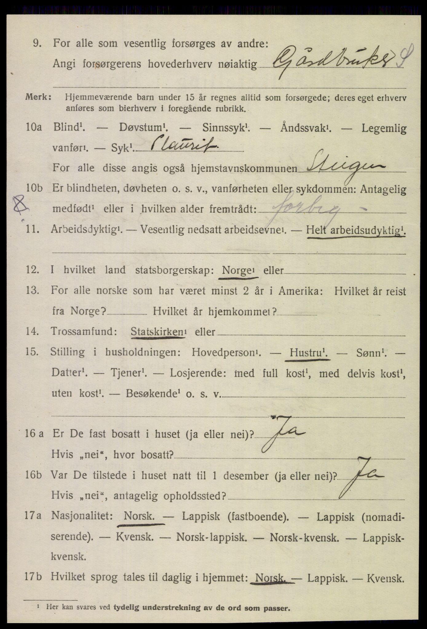 SAT, 1920 census for Steigen, 1920, p. 2347