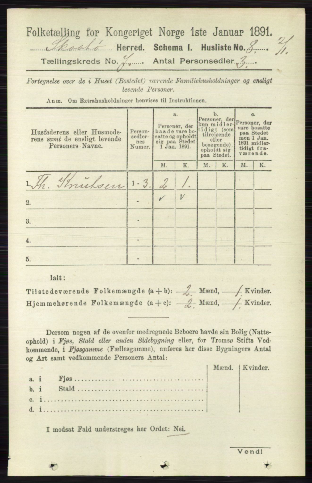 RA, 1891 census for 0815 Skåtøy, 1891, p. 3005