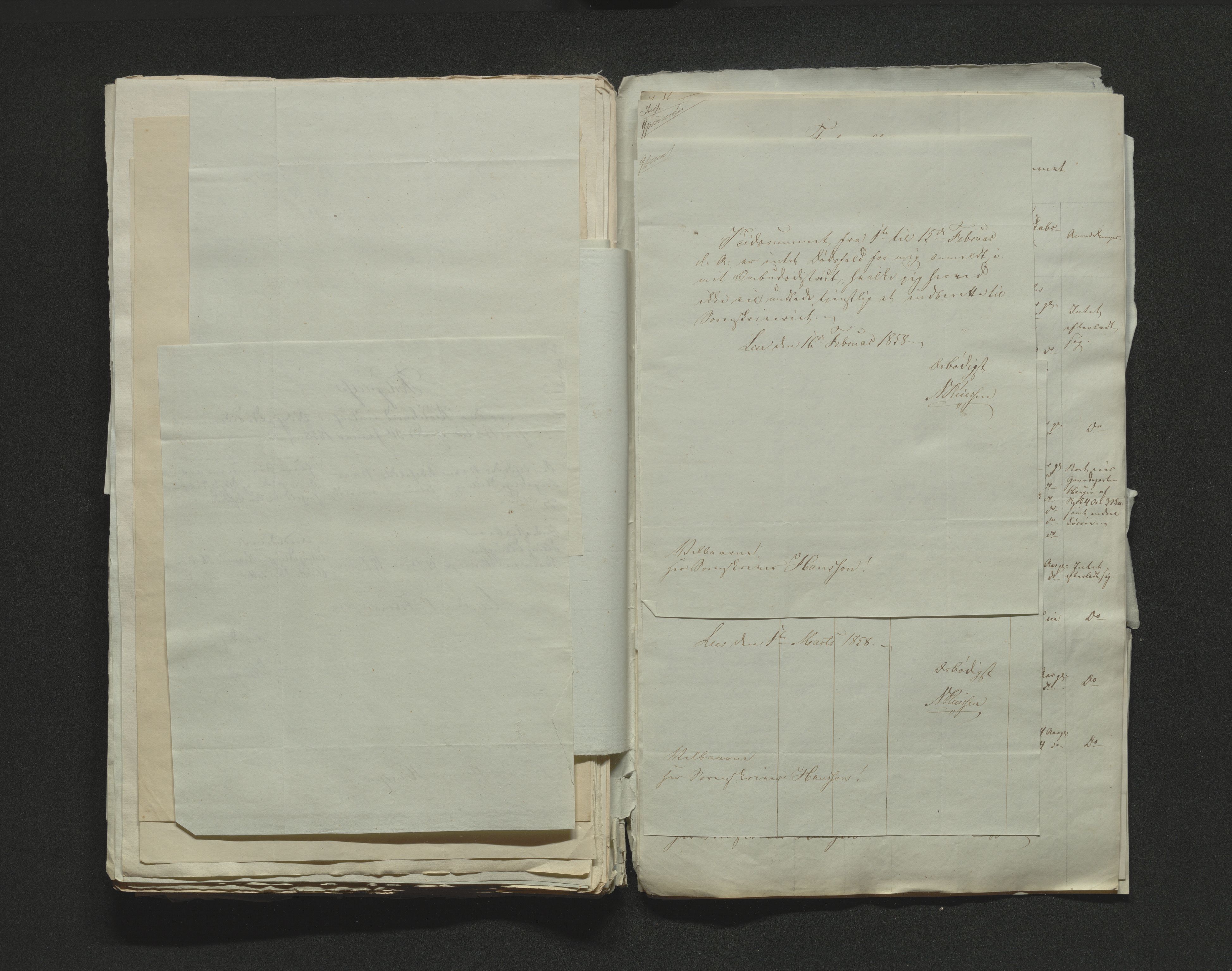 Eiker, Modum og Sigdal sorenskriveri, AV/SAKO-A-123/H/Ha/Hab/L0010: Dødsfallsmeldinger, 1858-1861, p. 104