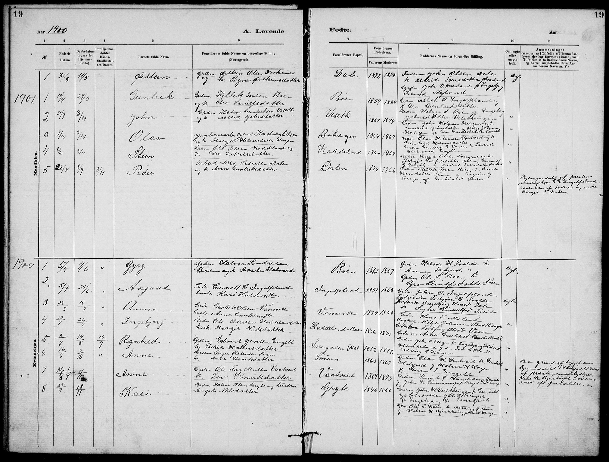 Rjukan kirkebøker, SAKO/A-294/G/Ga/L0001: Parish register (copy) no. 1, 1880-1914, p. 19