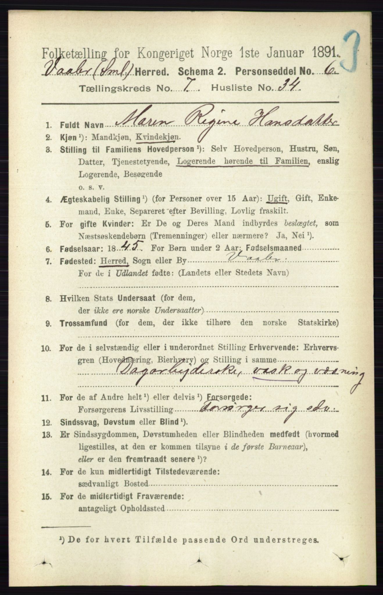 RA, 1891 census for 0137 Våler, 1891, p. 3064