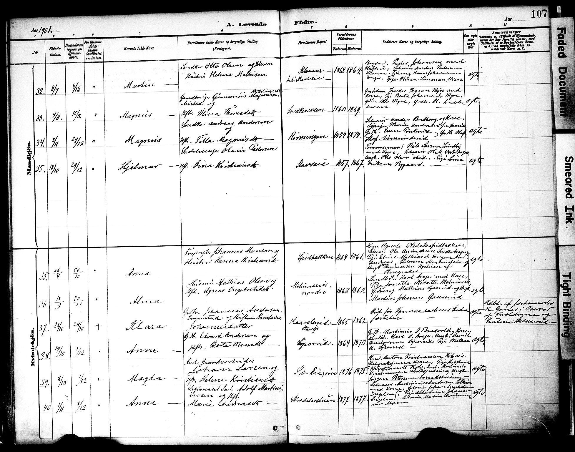 Nes prestekontor, Hedmark, AV/SAH-PREST-020/K/Ka/L0009: Parish register (official) no. 9, 1887-1905, p. 107